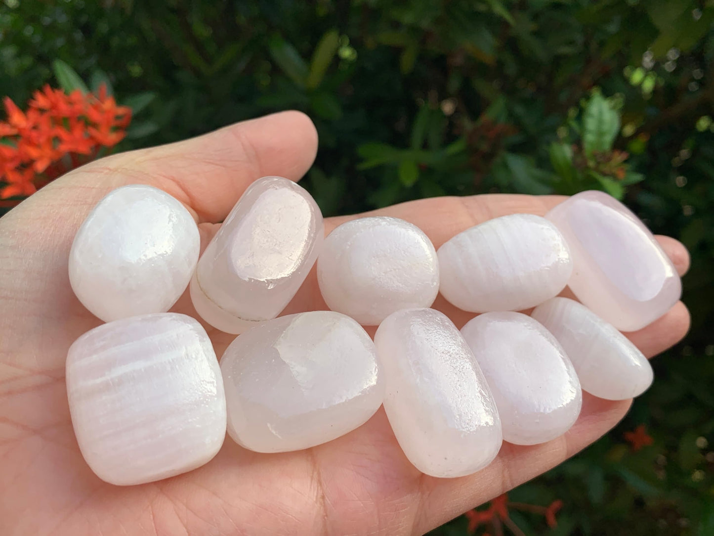 GAF TREASURES 5 Pcs Pink Calcite Tumbled Stones, Polished Natural Pink Calcite Gemstone, Pink Calcite Healing Crystals (Pink Calcite)