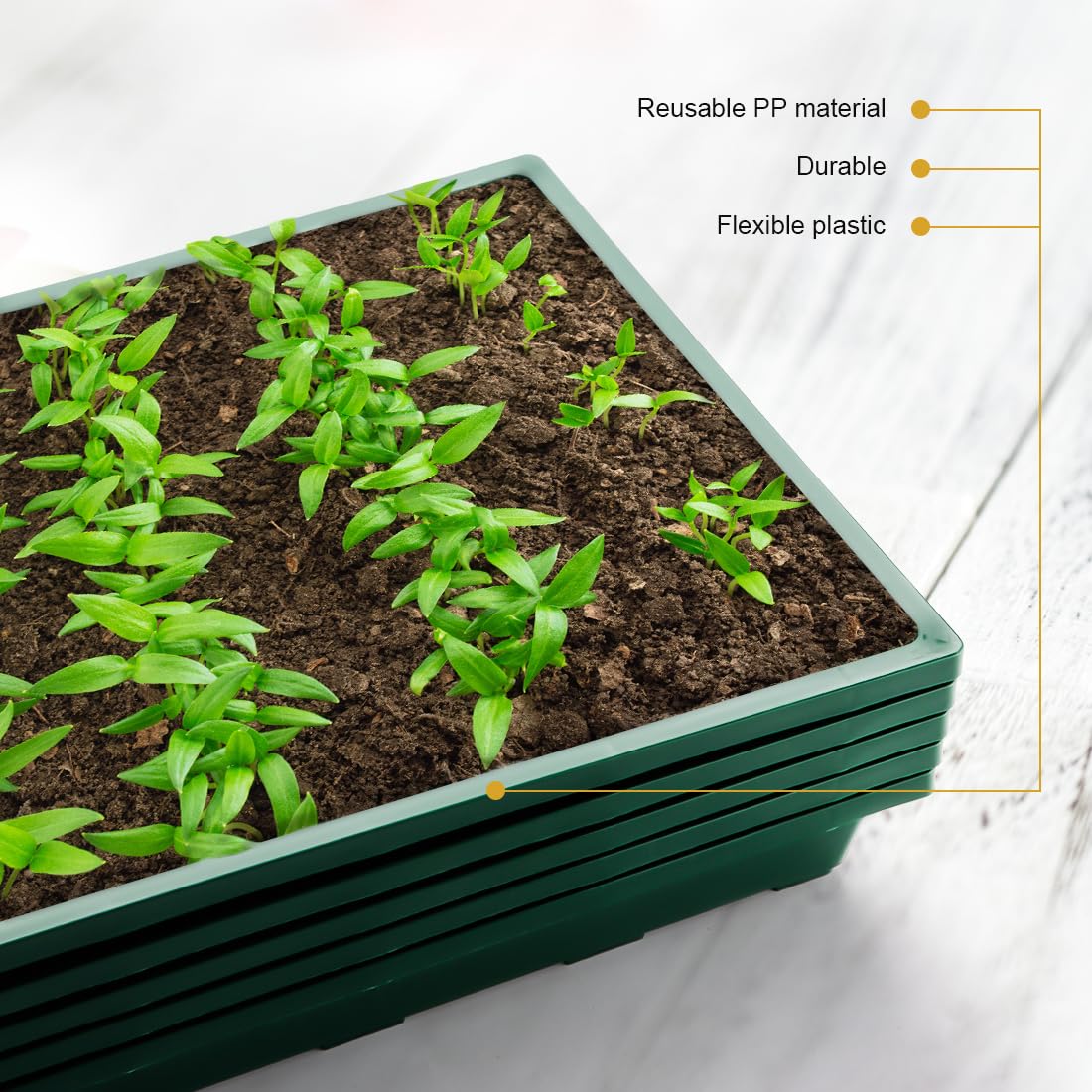 RooTrimmer 1020 Nursery Pots Trays 5 Pack, Plastic Flat Seed Starter Trays, Durable Seedling Potting Tray for Carrying and Holding Planting Pot (Green)