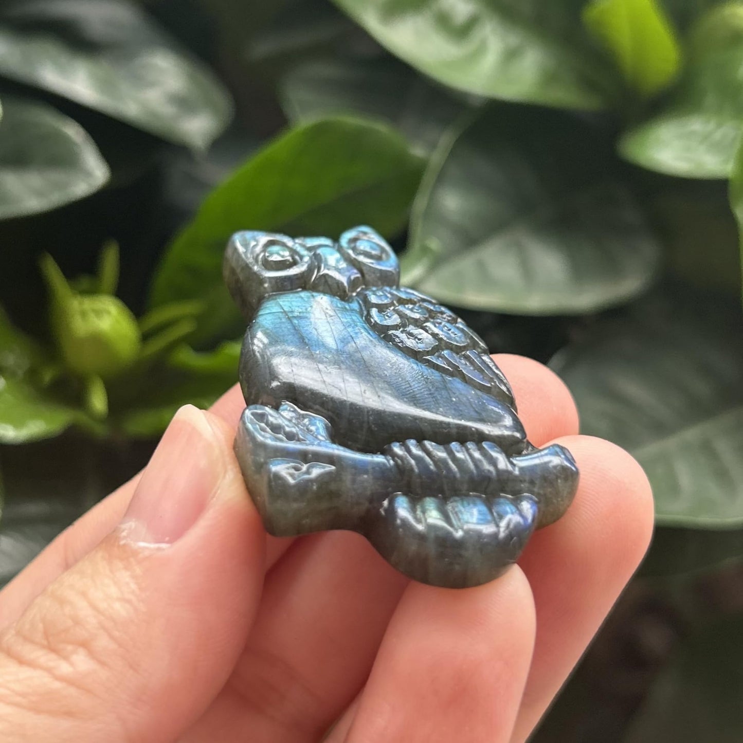 Bacatgem Natural Labradorite Owl Figurines Crystals and Healing Stones,Haped DIY Pendant