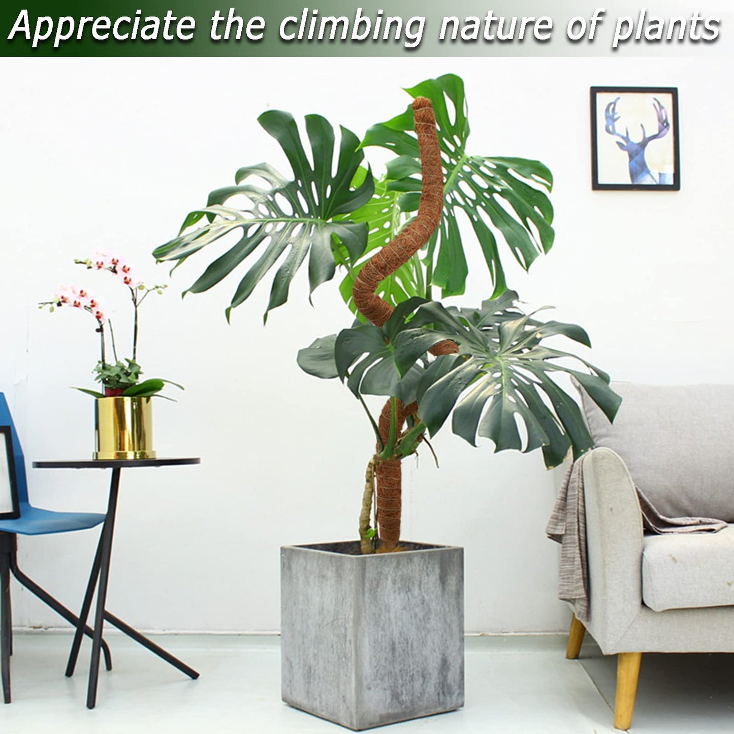 60 Inch Moss Pole for Plants Monstera, Tall Bendable Moss Poles for Climbing Plants Indoor, Large Handmade Plant Pole Sticks, Coco Coir Plant Support Stakes for Potted Plants, Pothos