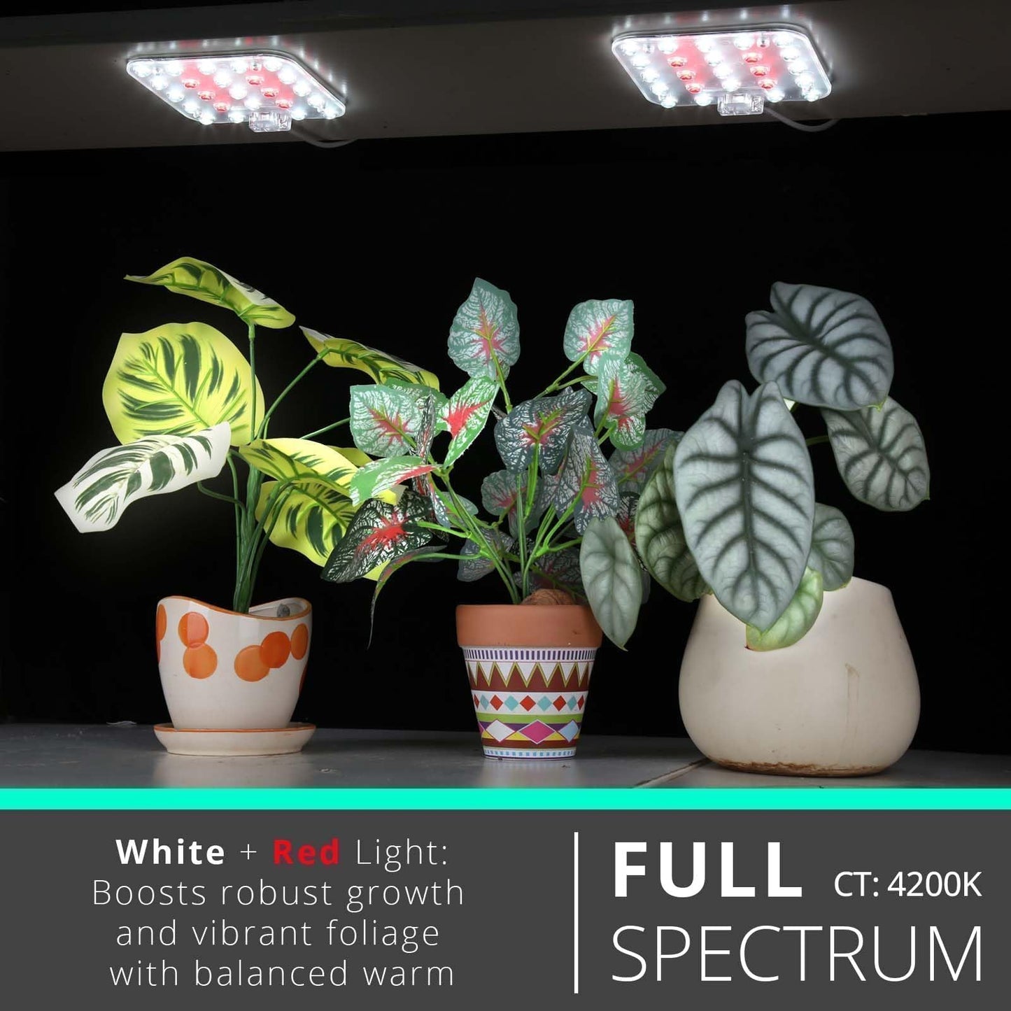 DOMMIA Full Spectrum LED Grow Light for Indoor Plants, 2 Panels 10W with 6/12/16h Timer Dimmable Plant Lights for Flower Veg Plant Growth USB, Netural White, 1-Pack