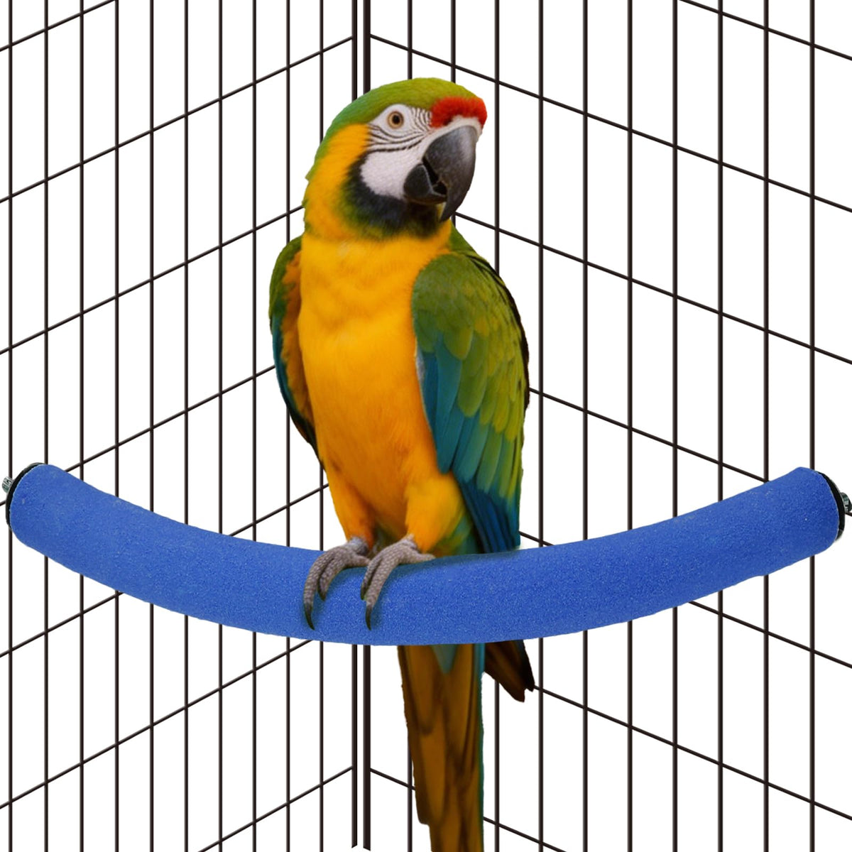 Rypet 90-Degree Parrot Perch for Cage Corner, Quartz Bird Perch (Green XL)