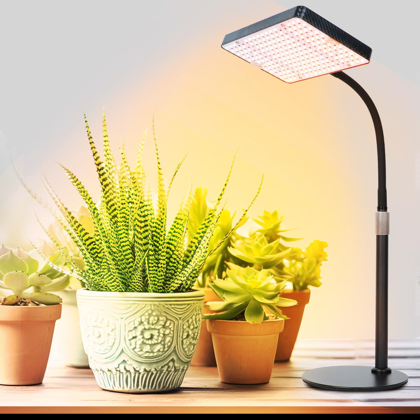 FRGROW 2026 Tabletop Grow Lights for Indoor Plants, Seed Starting, Bonsai, 25 Watt Power Draw, NO Need Adapter, Bright Enough Like A Small Sun, Daisy Chain Function, 16"-24" Height Adjustable