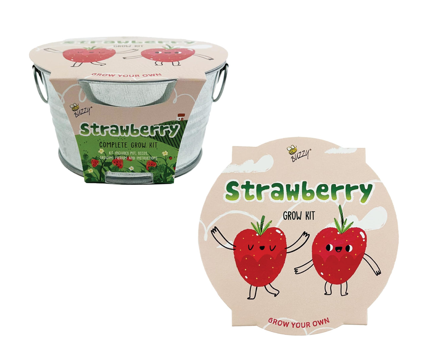 BUZZY Seeds Mini Basin Gardening Kit with Strawberry Seeds for Planting, Flowering Fruit Starter Set, Indoor Plants, DIY Plant Project, Party Favor