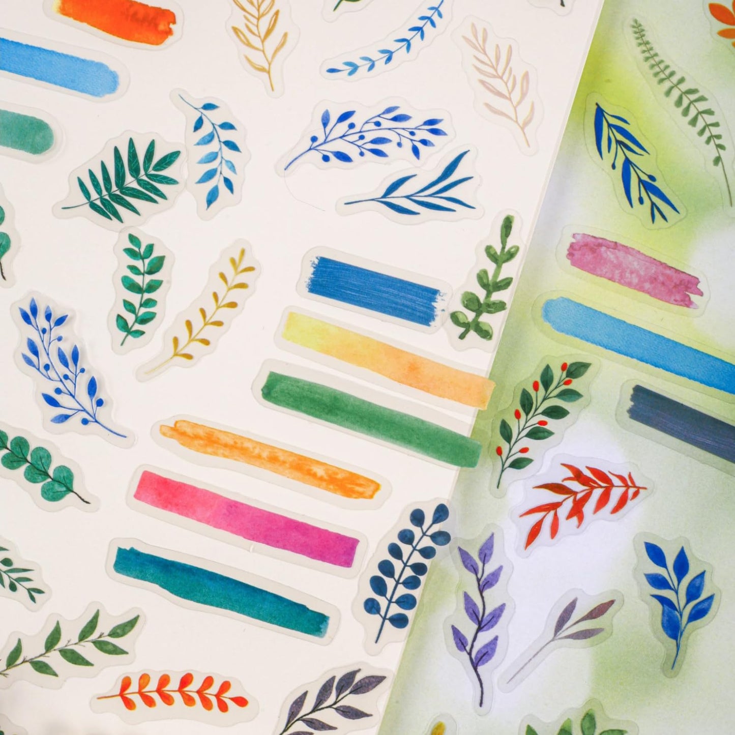 Doukado 180 Pcs Watercolor Leaf & Branch PET Stickers, 6 Packs Aesthetic Botanical Foliage Decals with Brushstroke Background Strips, Transparent Nature Ephemera for Junk Journal, Scrapbooking & DIY