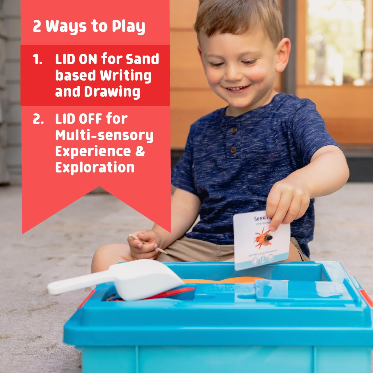 Chuckle & Roar - Sensory Bin - Tactile Learning for Toddlers - Montessori Preschool Activities - Plastic Storage Bin for Travel - Kids Activity Set