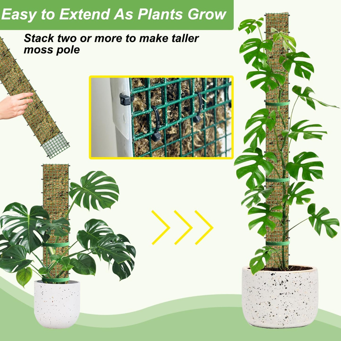 60"/40"/24" Metal Moss Pole, D Shape Sphagnum Moss Pole, Moss Poles for Climbing Plants, Monstera, Indoor Climbing Plants (3 Each of 40" 24")