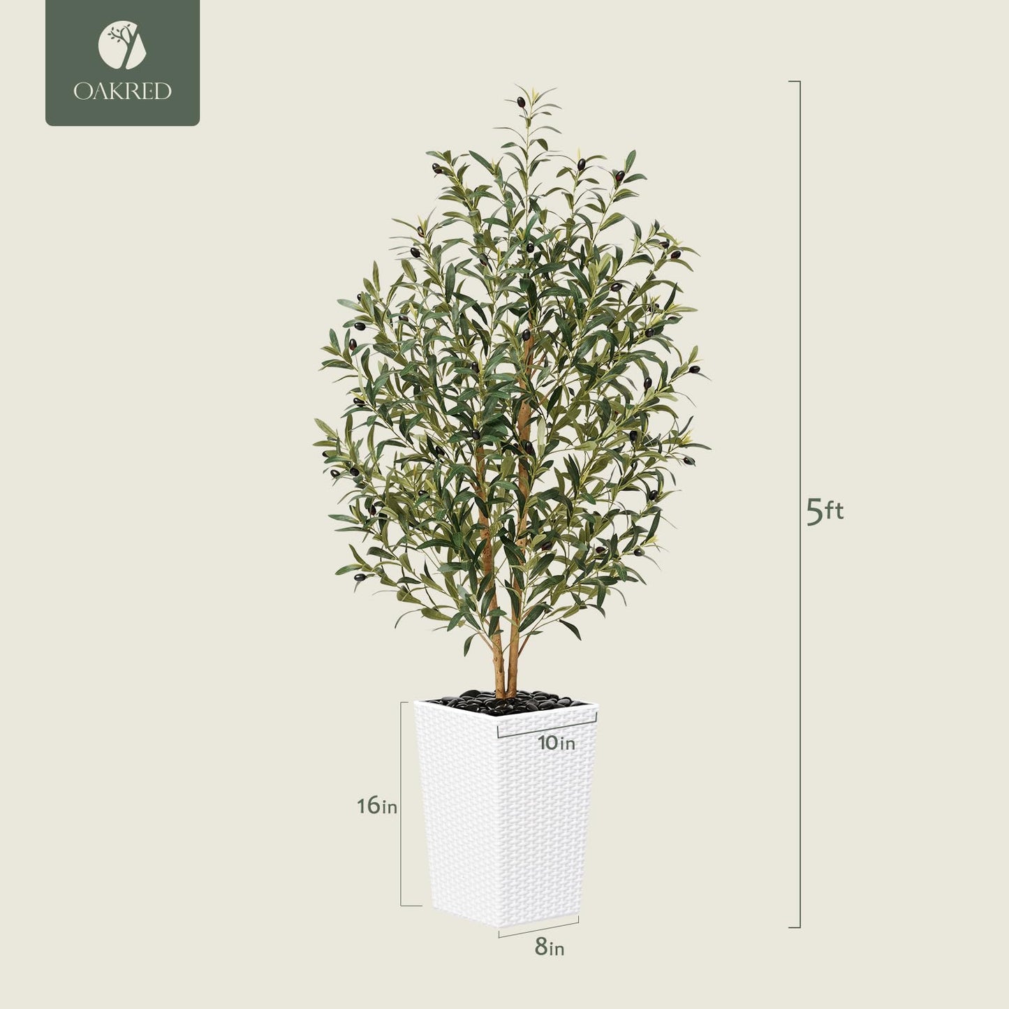 OAKRED Artificial Olive Tree 5FT Faux Olive Tree - Adjustable Branches UV Resistant with White Taper Planter and Pebbles - Faux Plants Indoor for Living Room, Office Decor and Bedroom