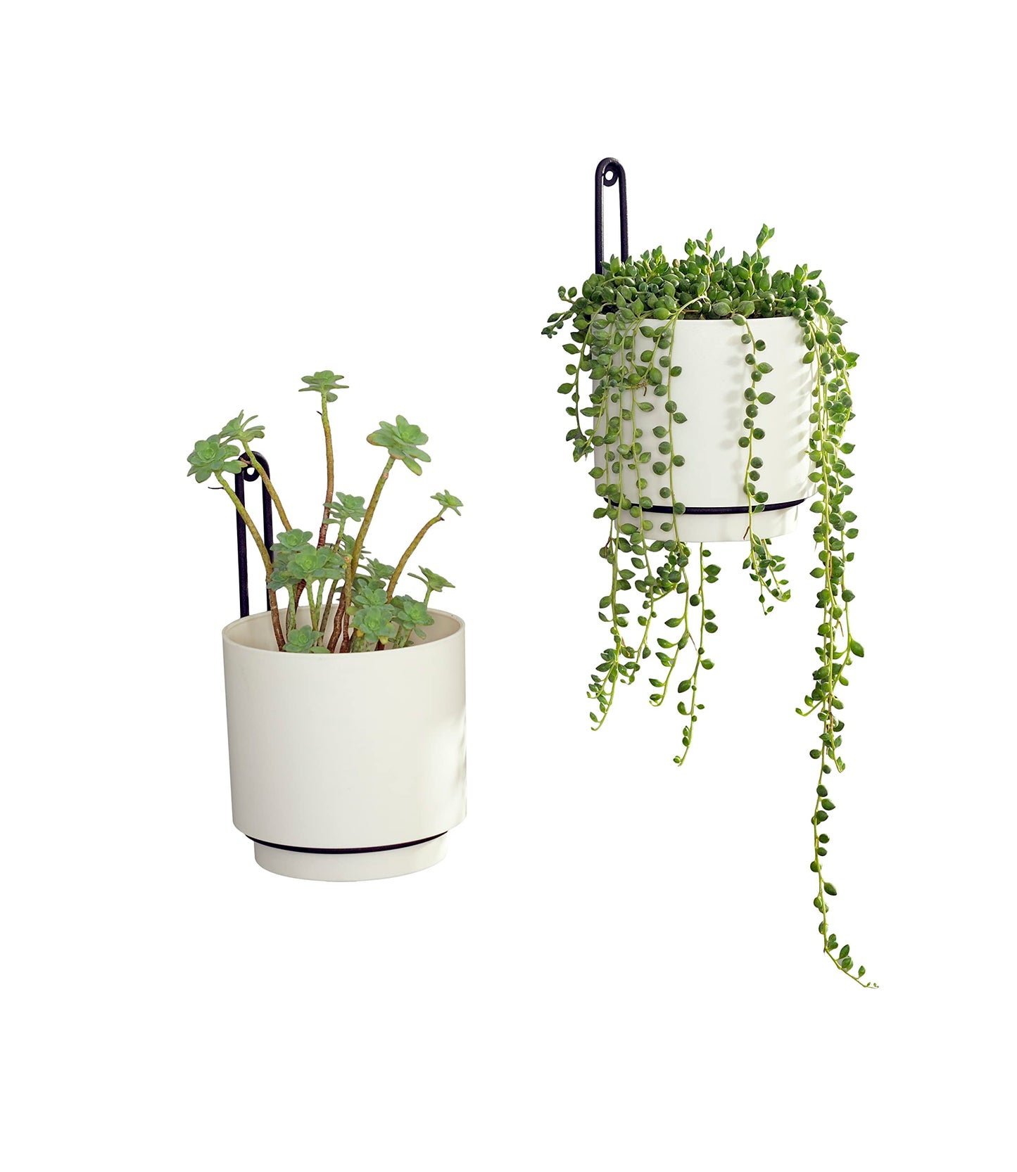 CISEANOL 2 Pcs Wall Mounted Hanging Planter Vase for Indoor and Outdoor Plants Modern Metal Wall and Ceiling Planter Minimalist Flower Pot (White, 5.91 inch)
