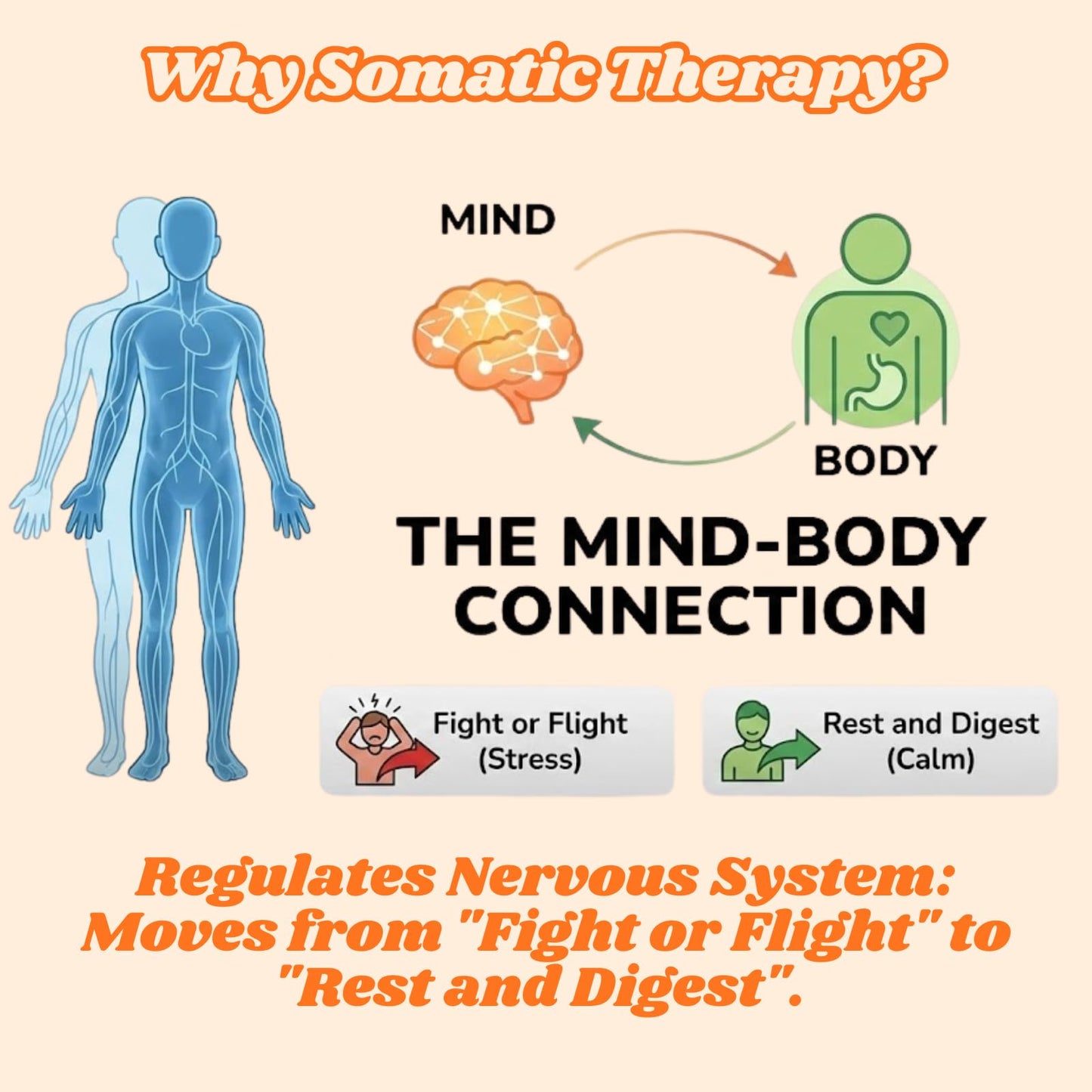 Somatic Therapy Cards for Kids, 52 Mindfulness & Emotional Regulation Activities for Calm, Focus, Coping Skills - Social Emotional Learning Tools for Parents, Therapists, Ages 6–12, Calm Down Corner