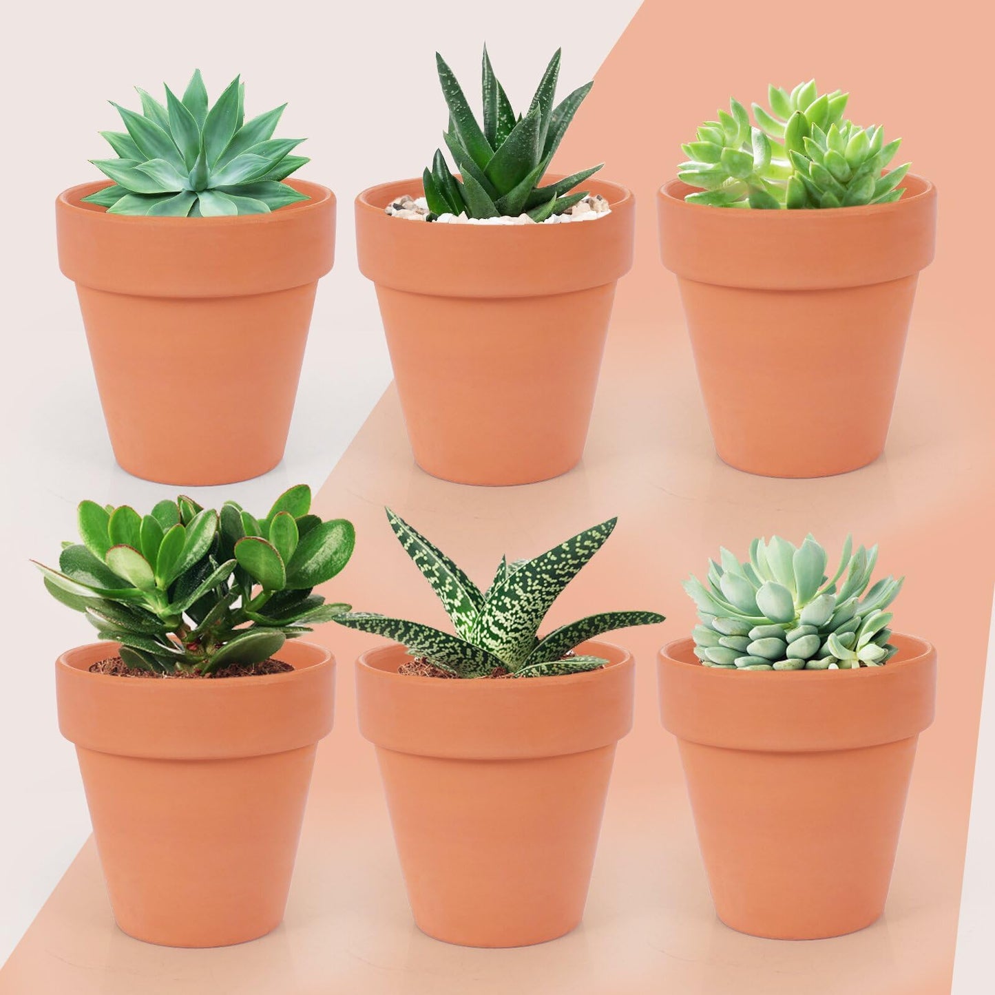 CUZZME 26 Pack Terra Cotta, 3inch Small Clay Flowerpots with Drainage Hole, Terracotta Pot for Indoor Outdoor Plant, Great for Plants, DIY Crafts