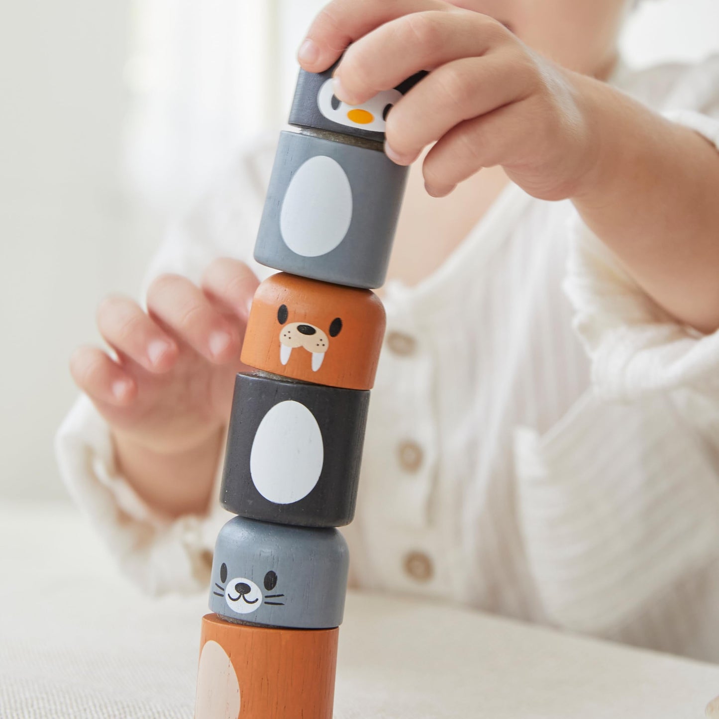 PlanToys® Arctic Animal Matching Wooden Montessori Learning Toy | Educational Matching Game for Memory, Sorting and Visual Skills | Eco Friendly Fine Motor and Early Cognitive Activity