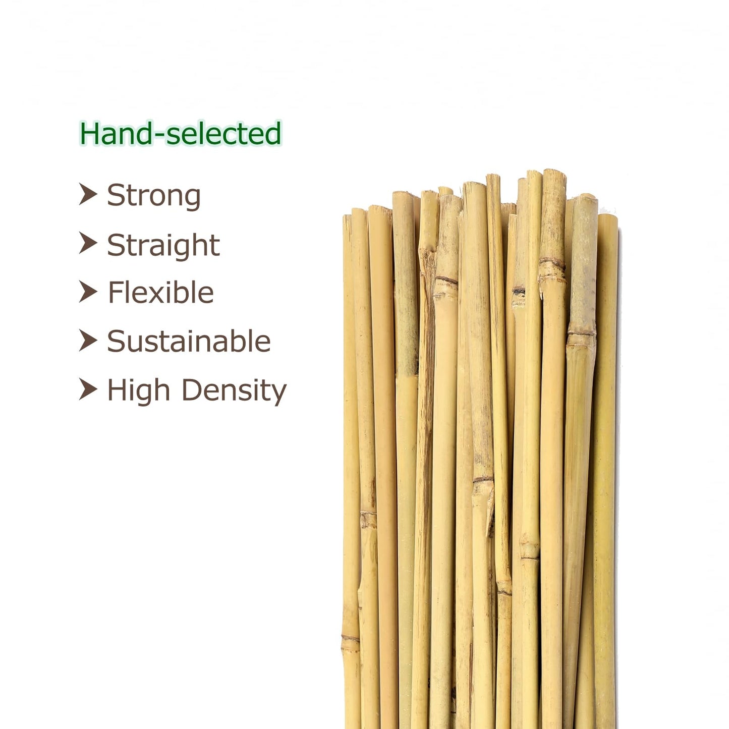 Cambaverd Bamboo Stakes 4ft Natural Plant Stakes for Tomatoes, Beans, Climbing Plants Support - 25 Pack Bamboo Sticks for Plants