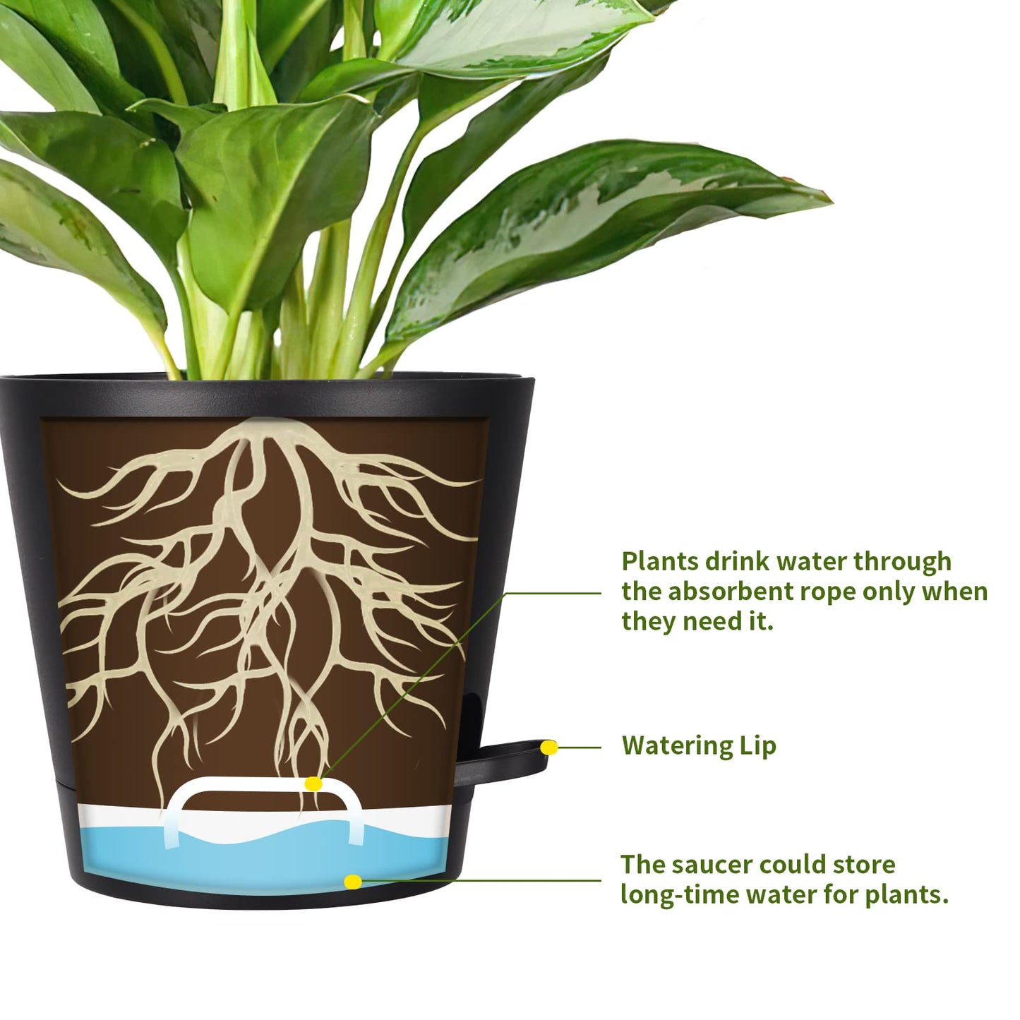 SPEPLA 8 Inch Self Watering pots for Indoor, 6 Pack Plastic Plant Pots with Drainage Holes, Black