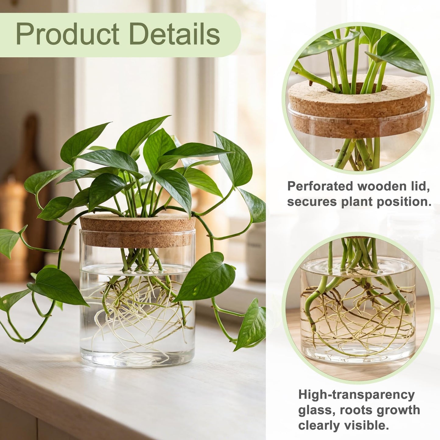 Dahey 4Pcs Glass Plant Propagation Stations Desktop Propagation Vases for Plants, 2 Large Planters Jars & 2 Small Pots Vases for Indoor Hydroponic Plant Cuttings, Living Room Home Office Bedroom Decor