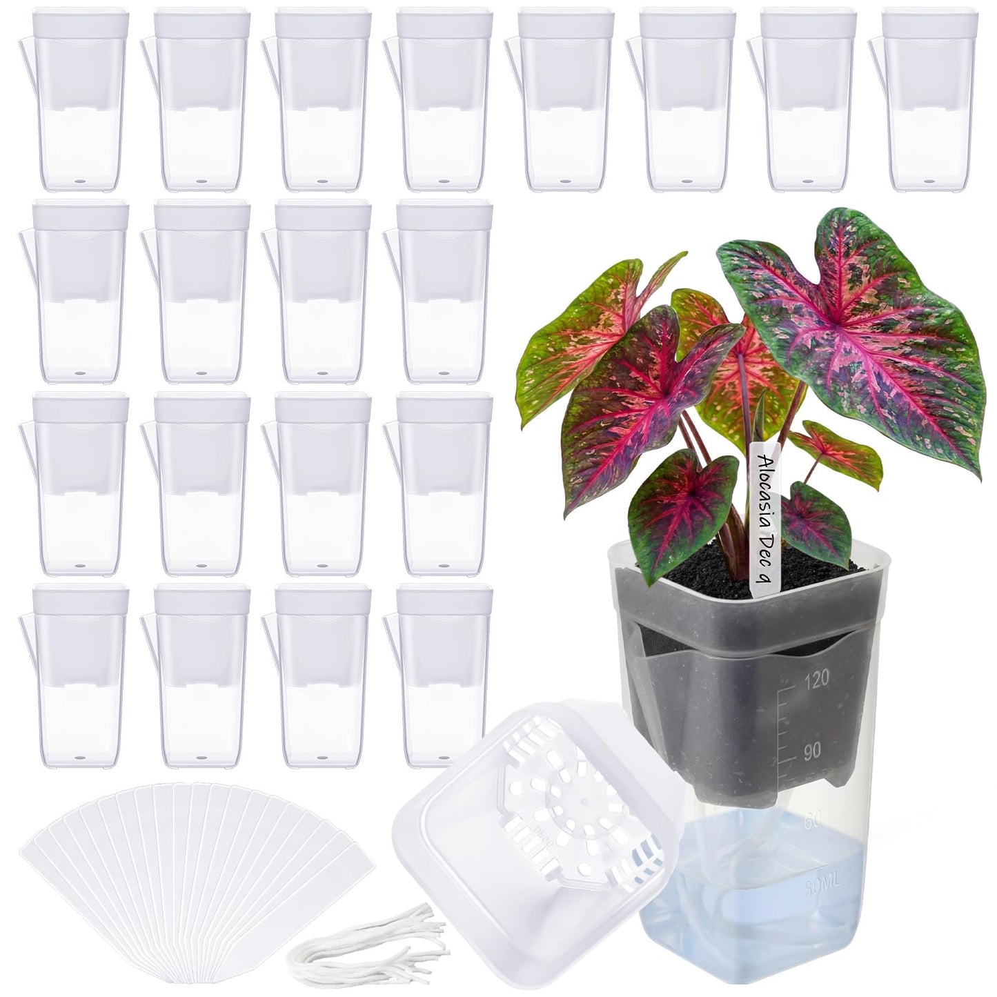 LemonRoad 20 Pack 2" Small Self Watering Pots for Indoor Plants with 20 Plant Label Mini Clear Plastic Planters with Water Level and Drainage Holes for Propagation, Succulents, and African Violet