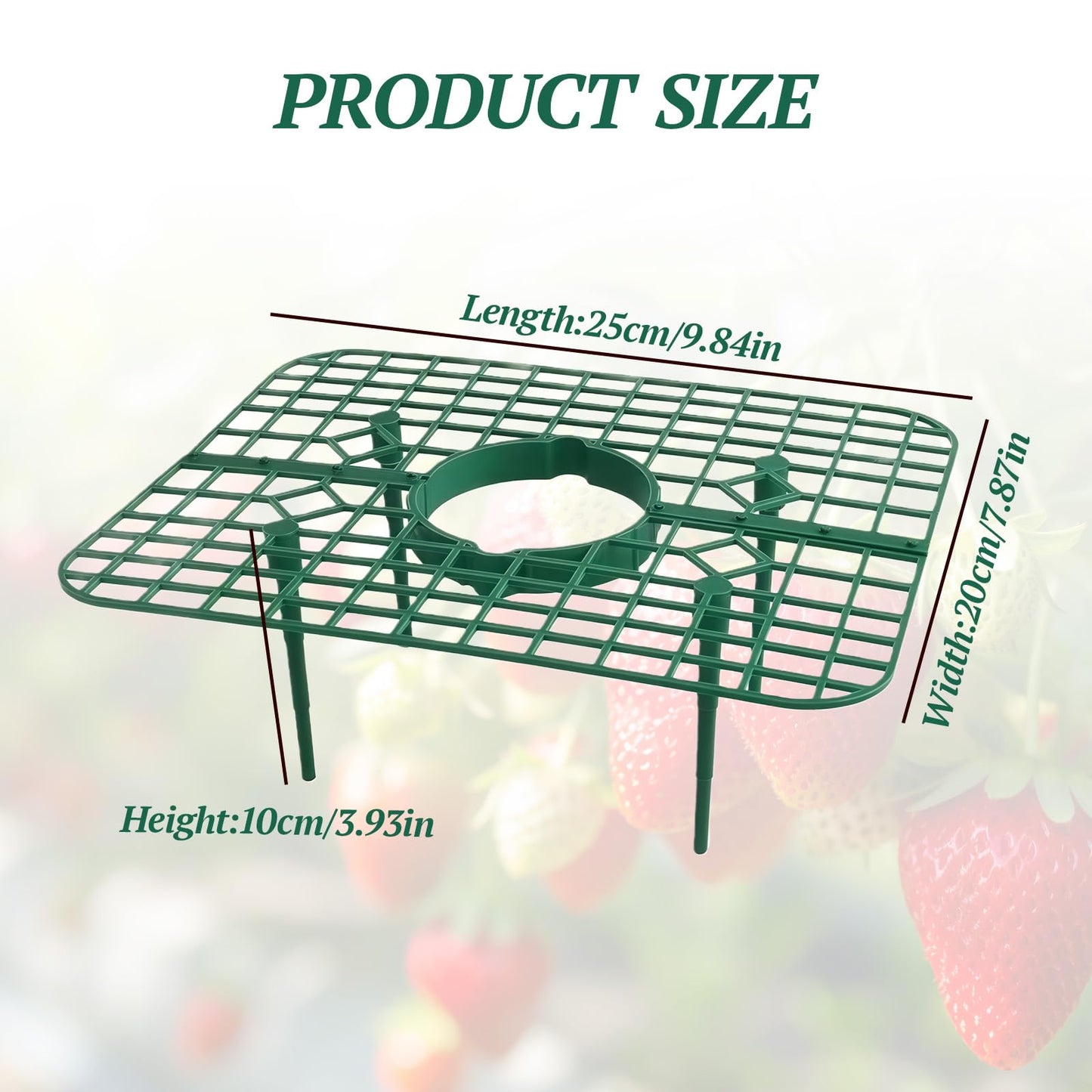 Richaa 10 Pcs Square Strawberry Plant Support, Strawberry Plants Holder with 4 Legs, Strawberry Plant Protector for Garden Growing Kit