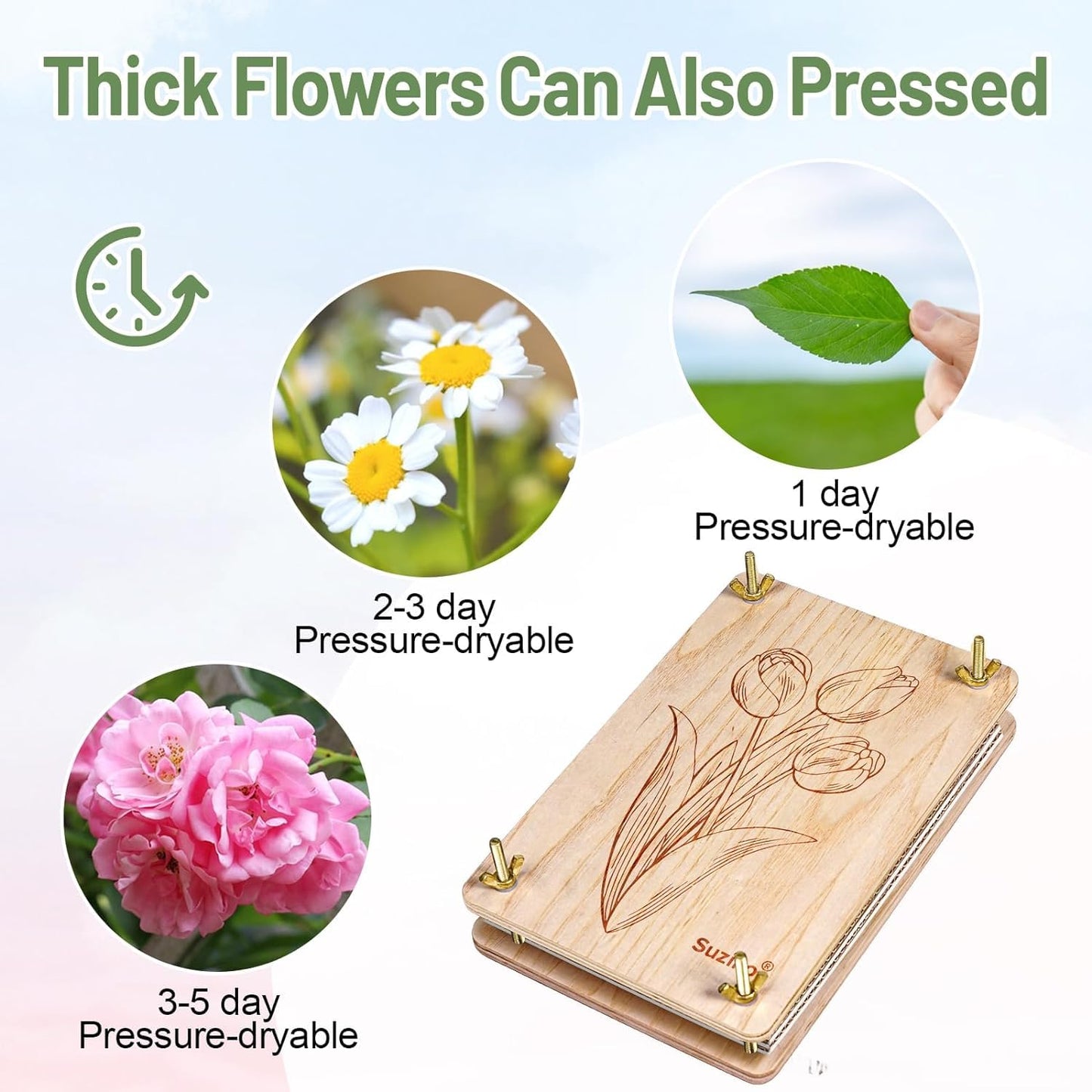 Suziko Large Flower Press Kit with Tulip Pattern for Adults & Kids - 10.8 x 6.9 Inch Flower and Leaf Preservation Art Craft Kit, Great Gift for Nature Lovers