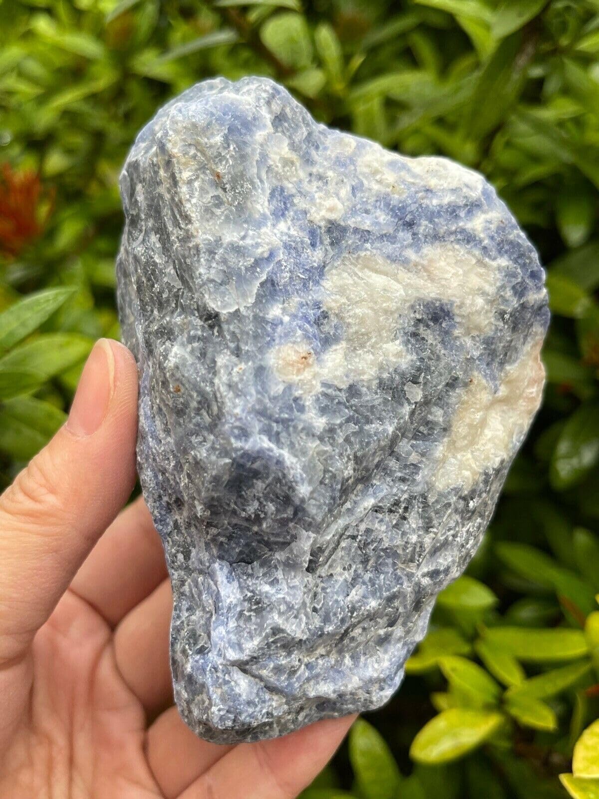 GAF TREASURES XL Raw Sodalite, 3-4" Natural Rough Sodalite, Sodalite Healing Rough Crystal (Sodalite, 0.5-1 lb)