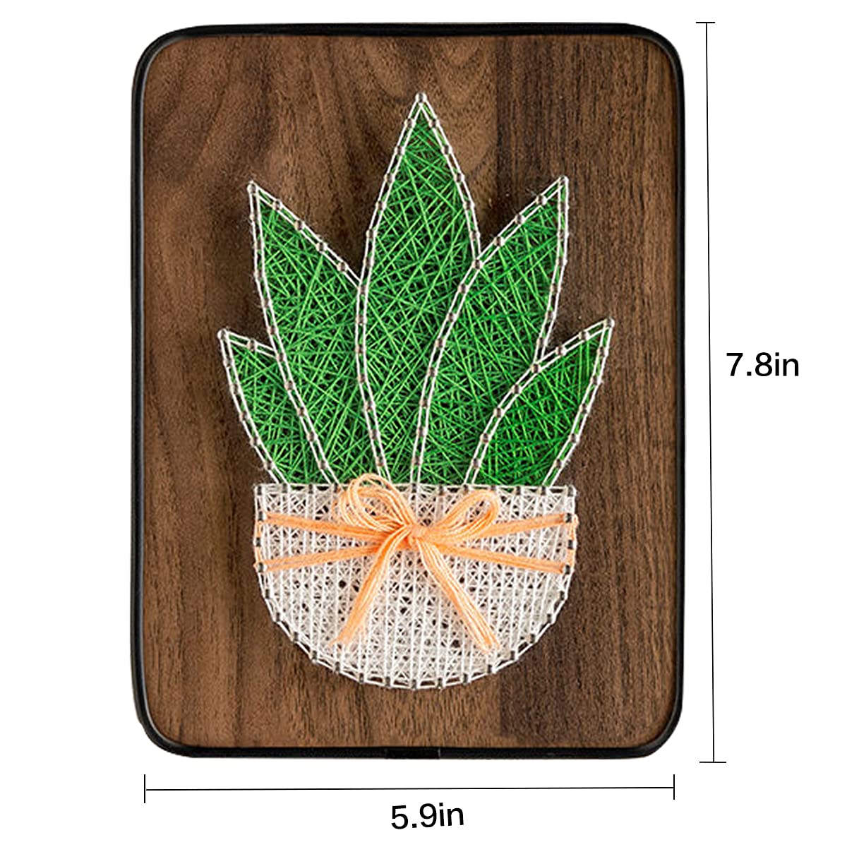 BAZIMA DIY String Art Kit for Beginner,DIY Aloe Potted Craft Kit,Unique Gift,Craft Kit for Holidays