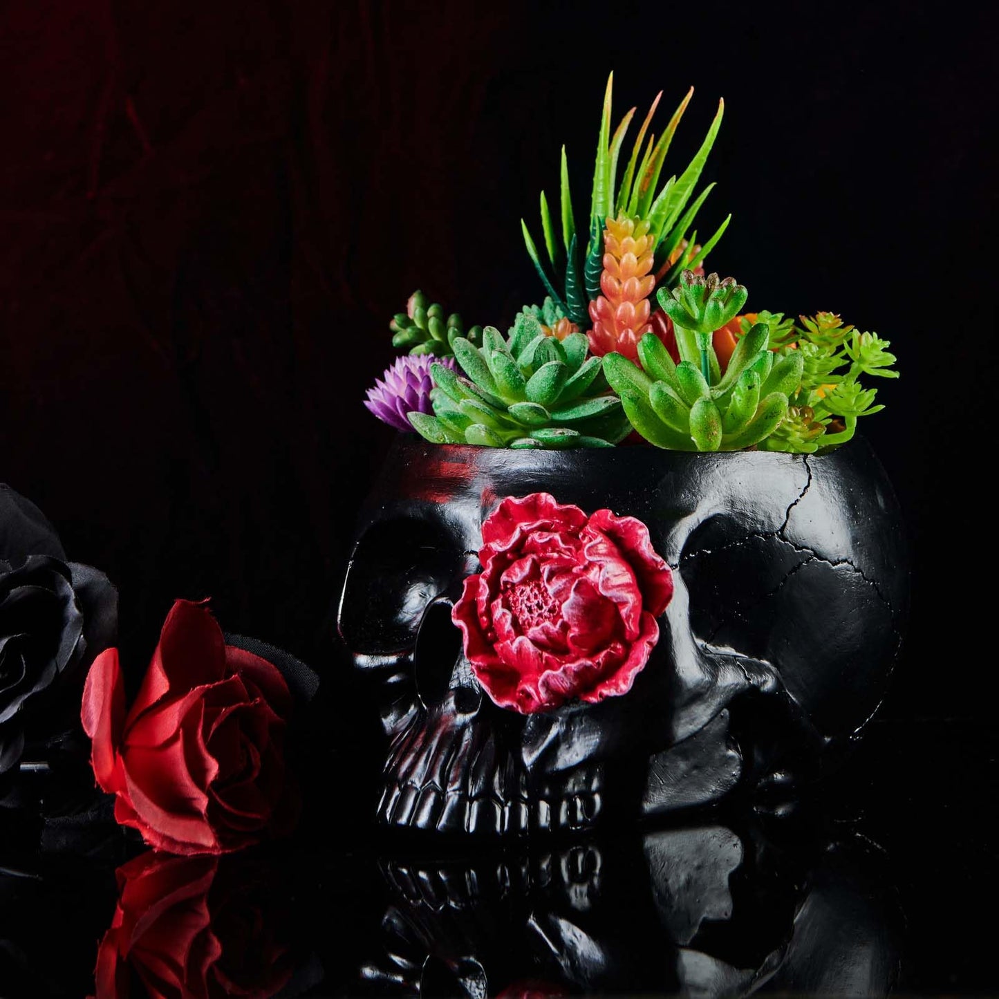 KIKTOP Camera Decorative Planter Plant Gift+Skull Planter Black Room Decor Head Planter