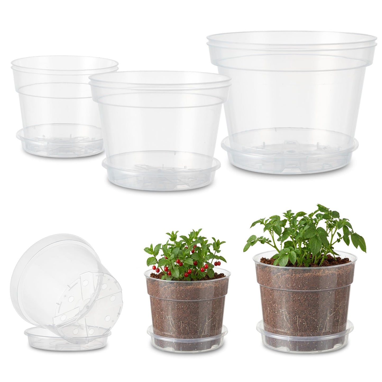 Garvee 6 Pack 6/8/10 Inch Clear Nursery Pots for Plants with Saucers, Thickened Plastic Plant Pots with Drainage Holes, Transparent Seeding Start Planters for Indoor Outdoor