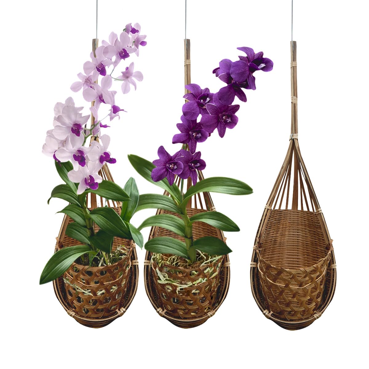 PANWA Handmade 100% Thai Bamboo Hanging Orchid Basket – 4 Inch Set of 3 for Mom & Spring Seasonal Decoration