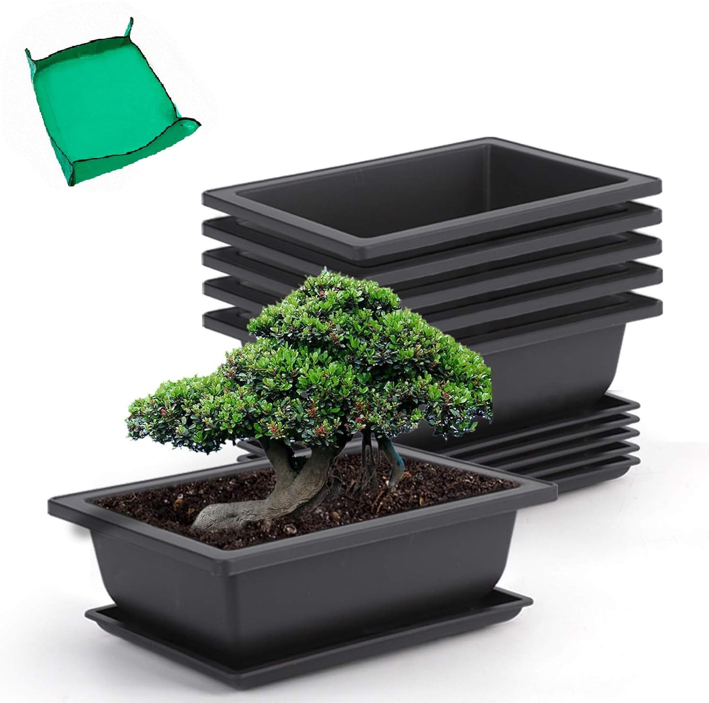 GROWNEER 6 Pack 9 Inch Bonsai Pots with Drainage Humidity Trays, Bonsai Tree Training Kits with 1 Repotting Mat, Rectangle Planter Plants Container Growing Pot for Garden Outside Indoor