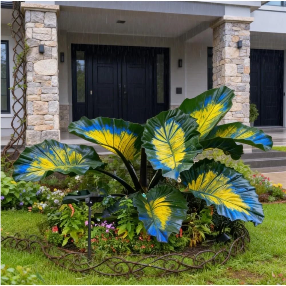 FERIWOY Elephant Ear Bulb Starter for Full Green Landscape and Patio Decor