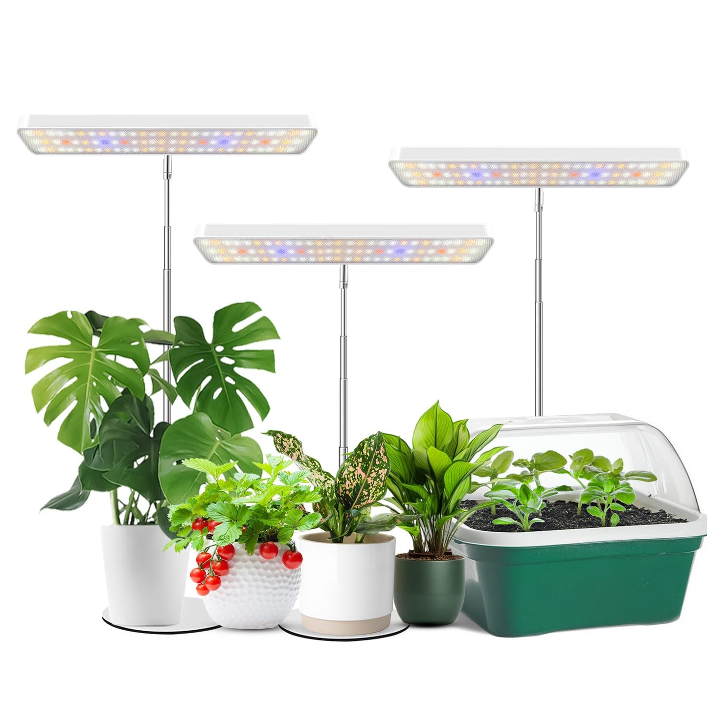 Wiaxulay Grow Lights for Indoor Plants, 78 LEDs Full Spectrum Plant Grow Light, Desk Grow Light with Auto Timer 6/12/16 Hrs, 3 Lighting Modes, 5 Dimmable Levels, Height Adjustable 7.8"-26", 3 Pack