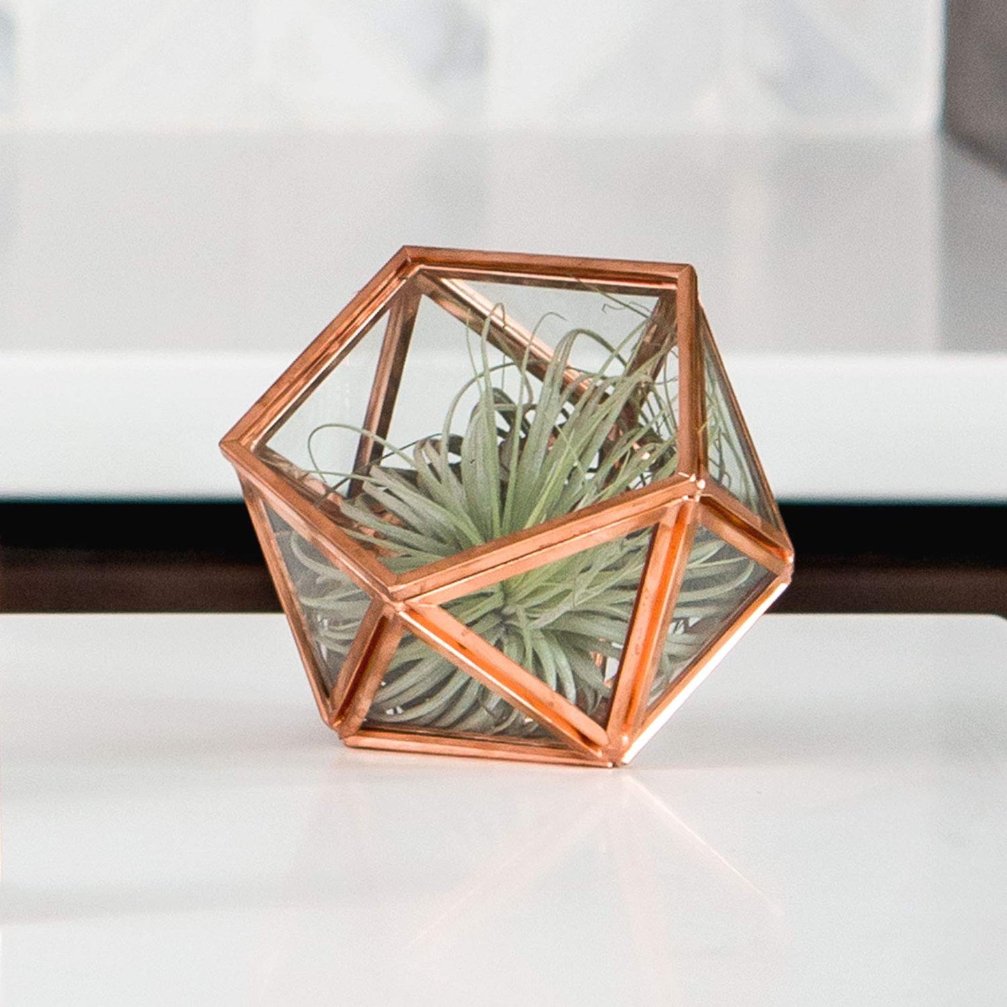 WEDDINGSTAR Small Glass Geometric Terrarium Style Ring Jewelry Box - Blank