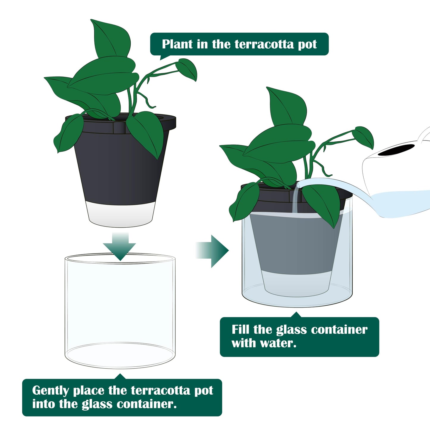 D'vine Dev 8 Inch Design Self Watering Planter for Indoor Plants, Black Terracotta Pot with Cylinder Glass Cup, 37-X-C-3