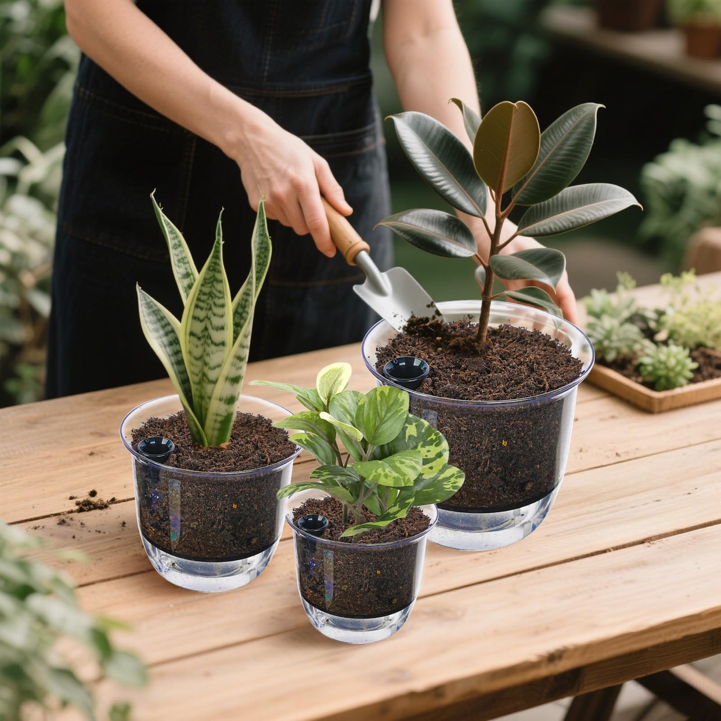 IWNTWY Self Watering Pots, 3 Pack 4 Inch Clear Plant Pot Self Watering Planter Flowers Pot with Deep Reservoir for Indoor Plants (3 Small)