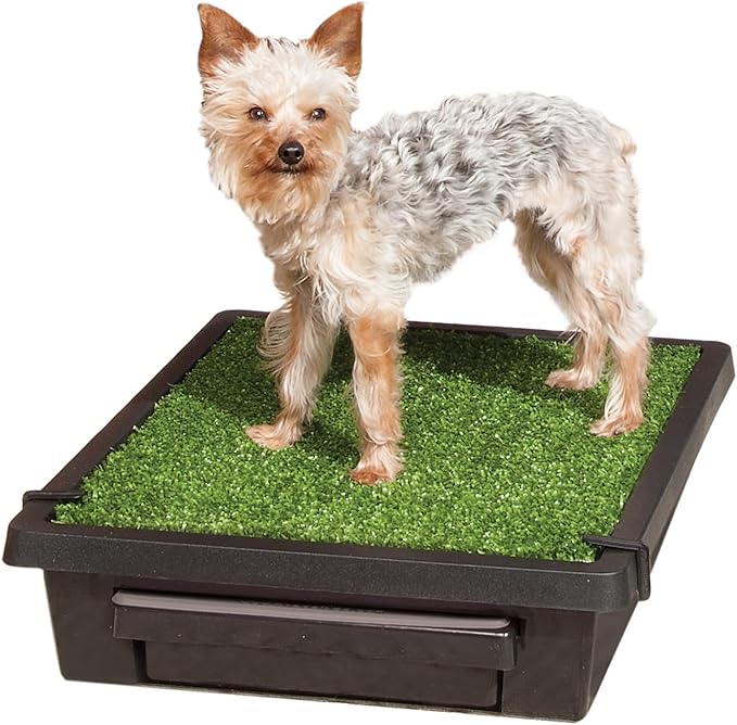 PetSafe Pet Loo Portable Dog Potty, Large