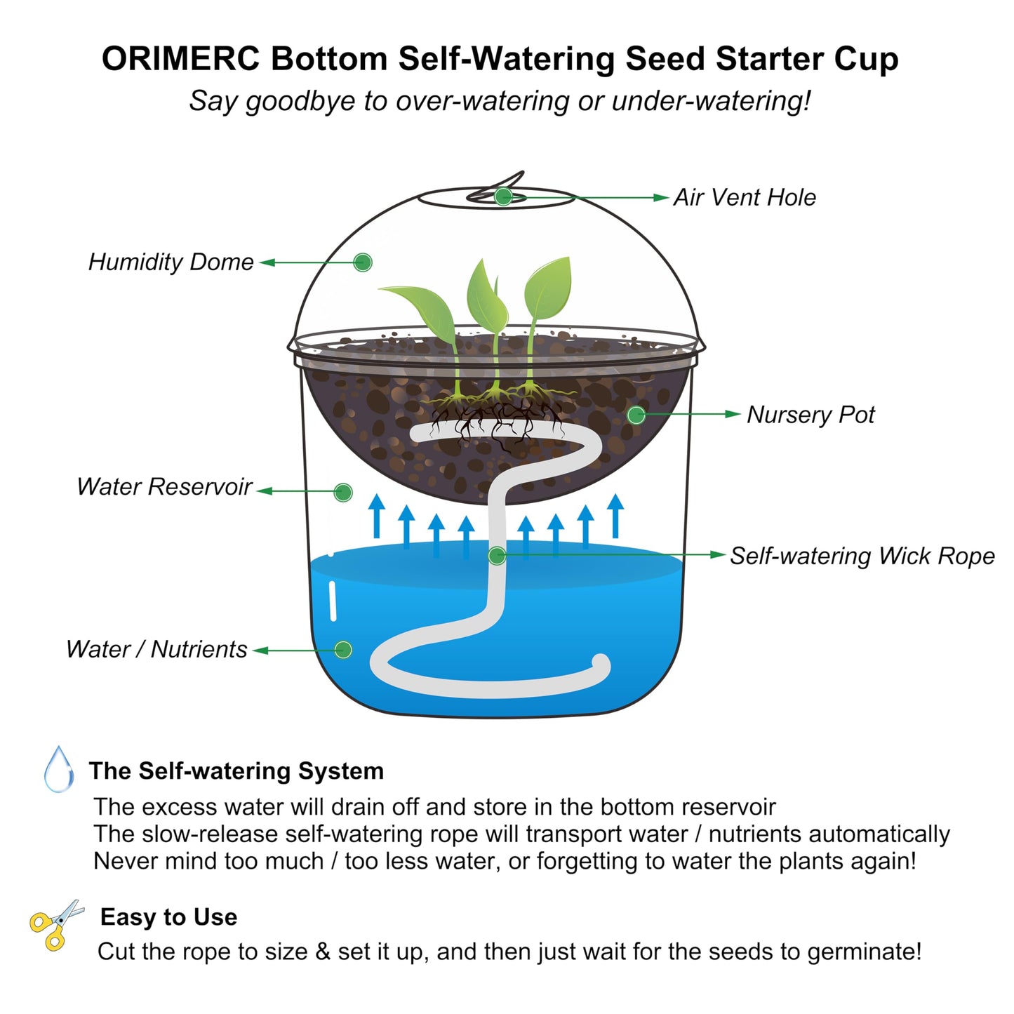 ORIMERC 30 Set Nursery Pots with Humidity Dome, Clear Nursery Pots with Drainage, Self Watering Small Plant Pots, Seedling Pots for Plants, Seed Starter Pots for Planting Vegetables Fruit Flower