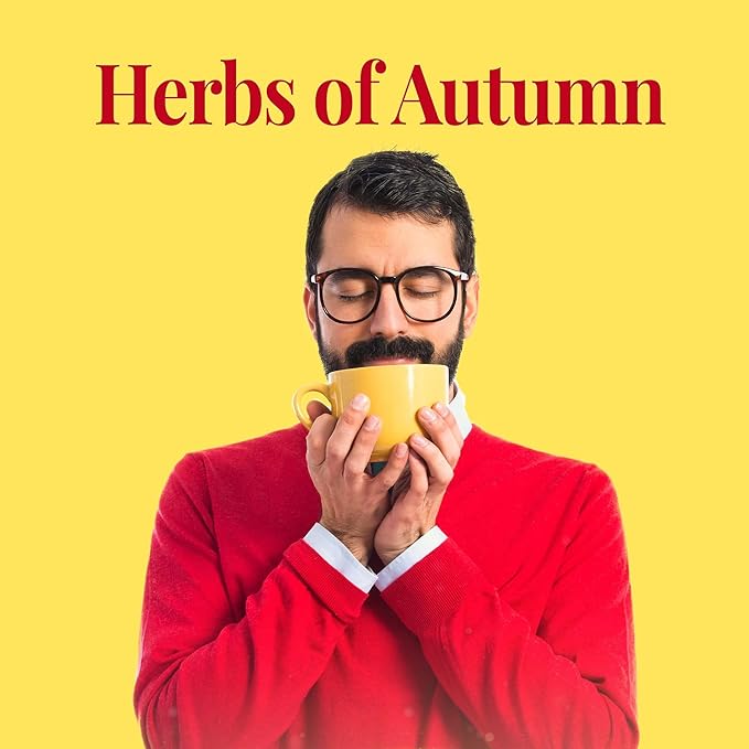 The Republic of Tea Hot Apple Cider Seasonal Herbal Tea, 250 Tea Bag Bulk