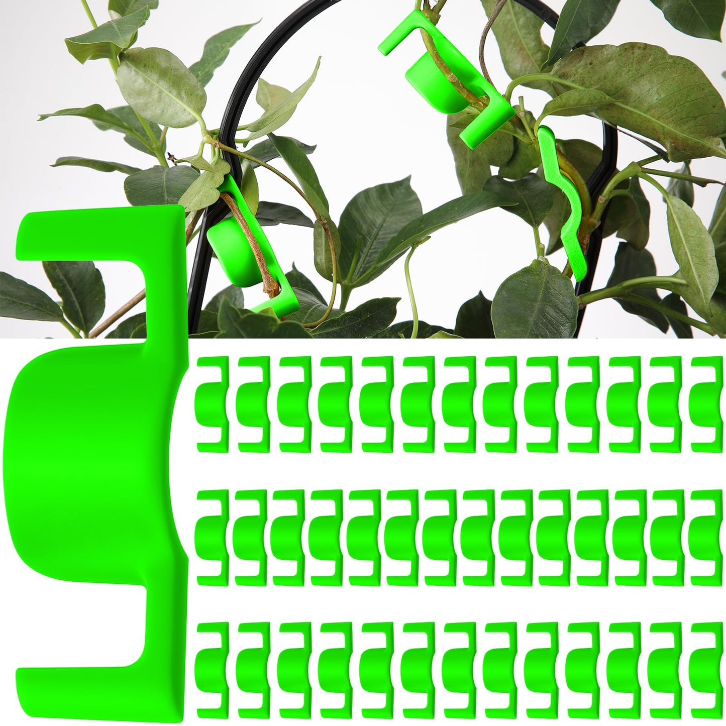 Feekoon 40 Pack Universal LST Plant Training Clips Reusable Low Stress Branch Benders for Enhanced Light Exposure & Airflow – Ideal for Indoor Gardening Cultivation to Bend or Interlock Stems(Green)