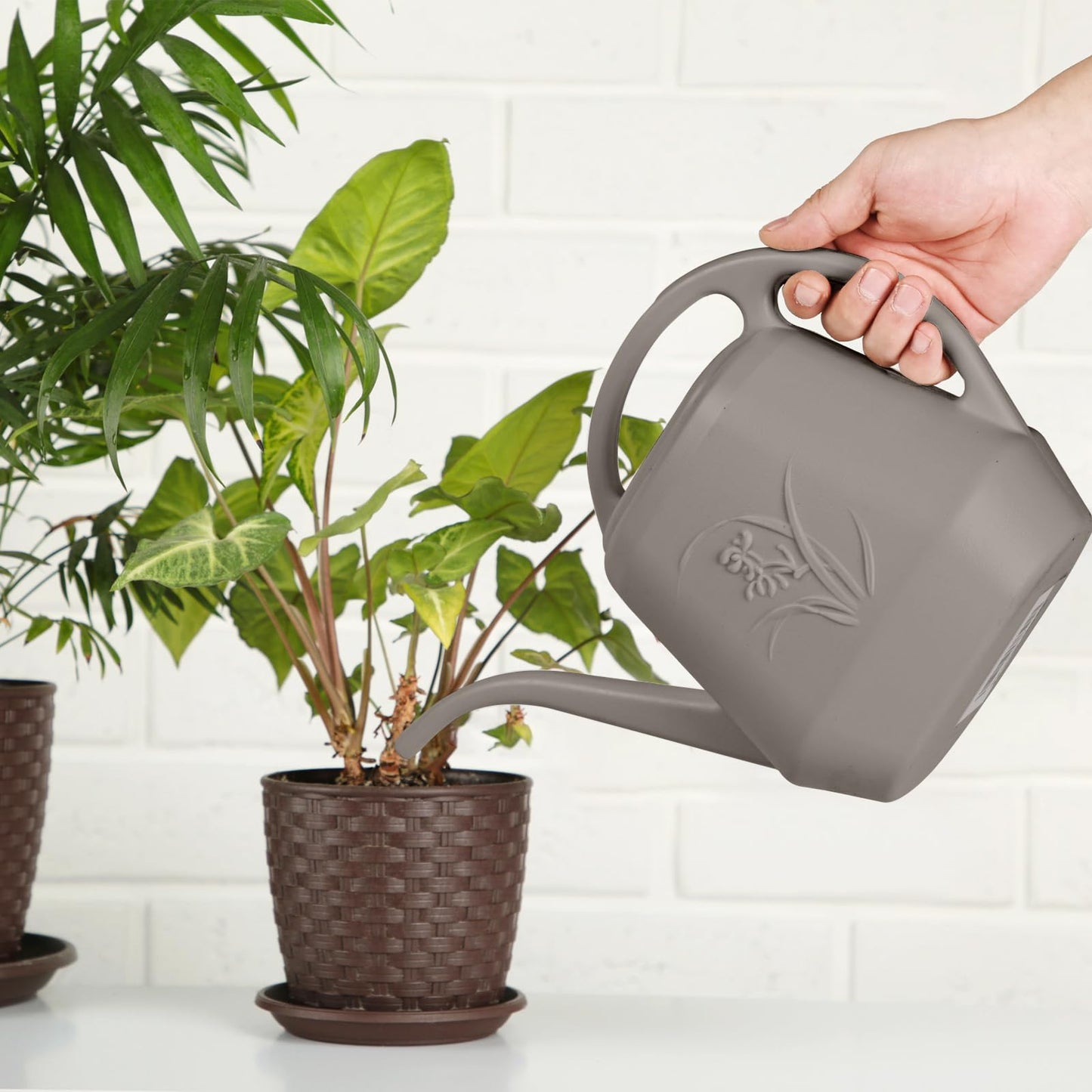 TTAOE GN Plastic Watering Can - for Indoor and Outdoor Plant - 1/2 Gallon - Coffee Color