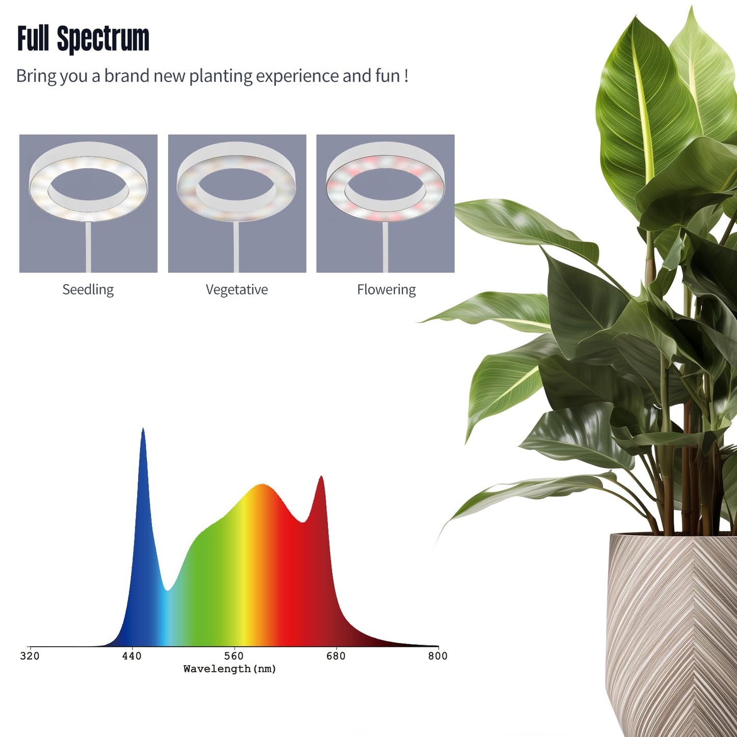 GLOWRIUM Grow Lights for Indoor Plants,20W Full Spectrum LED Plant Light with Stand,Adjustable Height,3/9/12H Timer,6 Dimmable Levels & 3 Lighting Modes (White-Single Head)