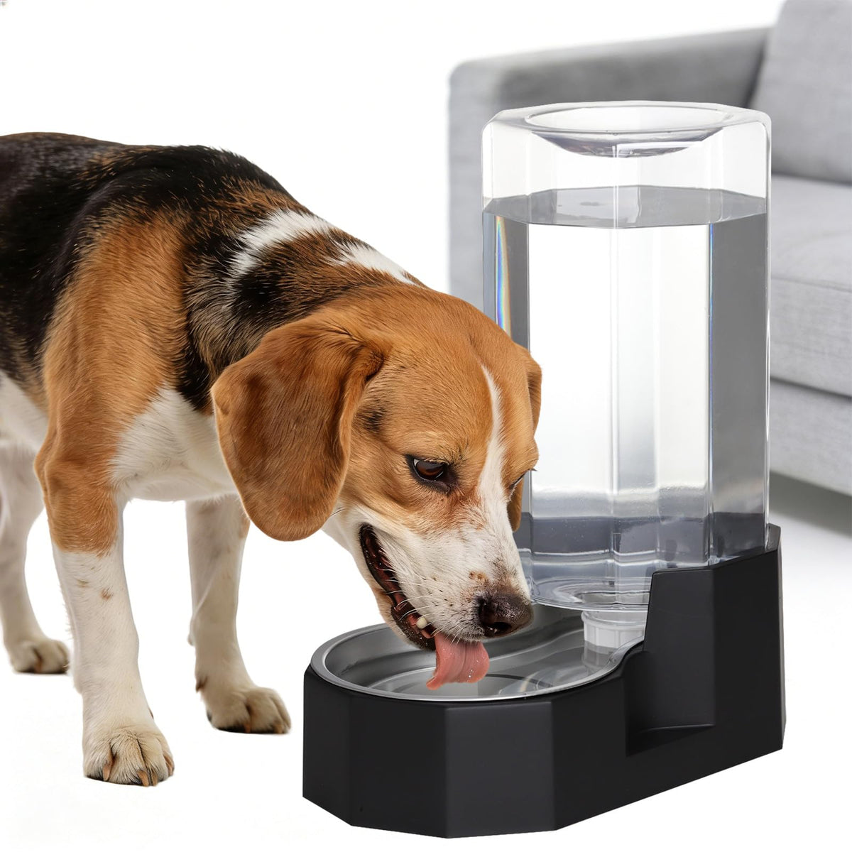 Sfozstra 8L Gravity Dog Water Dispenser:Stainless Steel Bowl