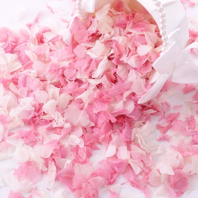 1500+ Real Dried Hydrangea Flower Petals -1.06Oz Real Natural Preserved Petals for Wedding, Party Confetti, Romantic Night, Proposal Decor, Handcrafts (Pink & White)