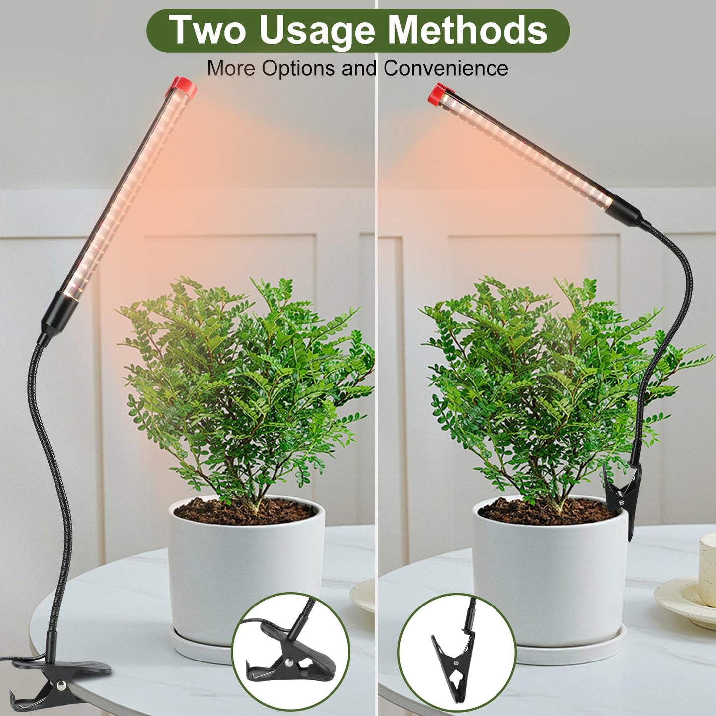 Game Changer! FECiDA 2026 3Pack 9 Watt Power Draw, NO Need Adapter, Clip Grow Lights for Small Indoor Plants, Bonsai, 4/8/12H Timer, Enough Bright Like Sun for Your Plants