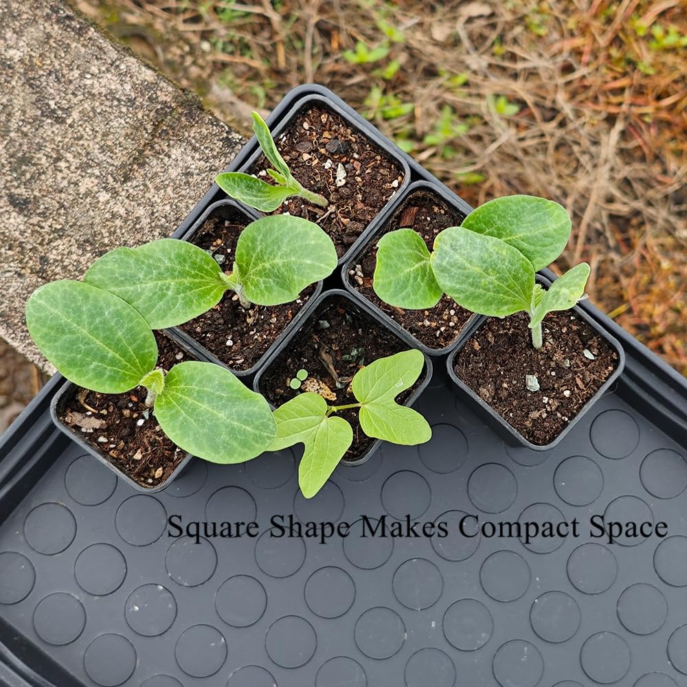 BangQiao 120 Pack 2.40 Inch Small Black Plastic Square Nursery and Seedling Pot, Deep Transplant Seed Starter Planter with Drain Hole for Germination, Herb, Succulent
