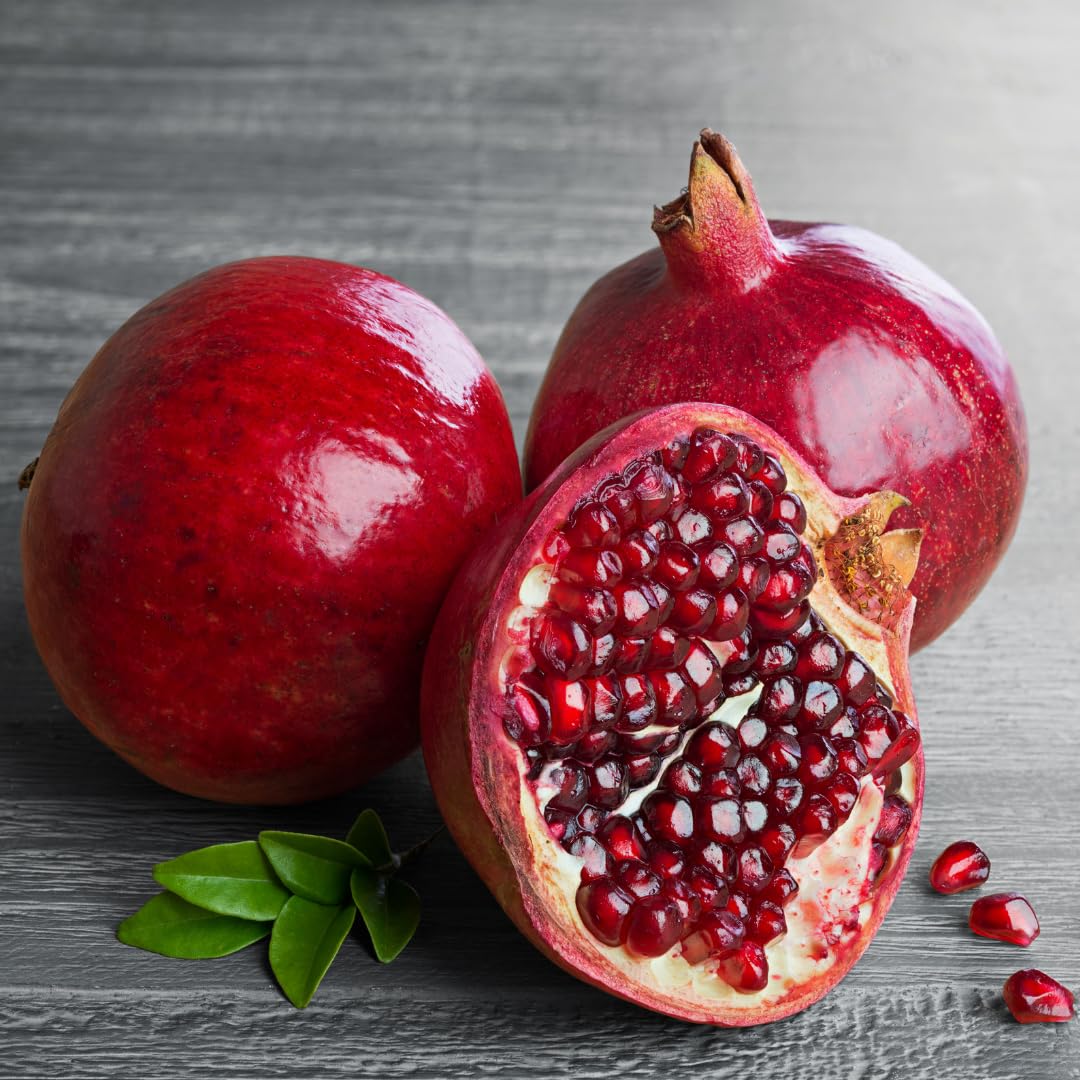 Live Pomegranate Tree Plant, Sweet Edible Pomegranate Fruit, 2-3 Feet Tall, Well-Rooted, Ready for Outdoor Planting