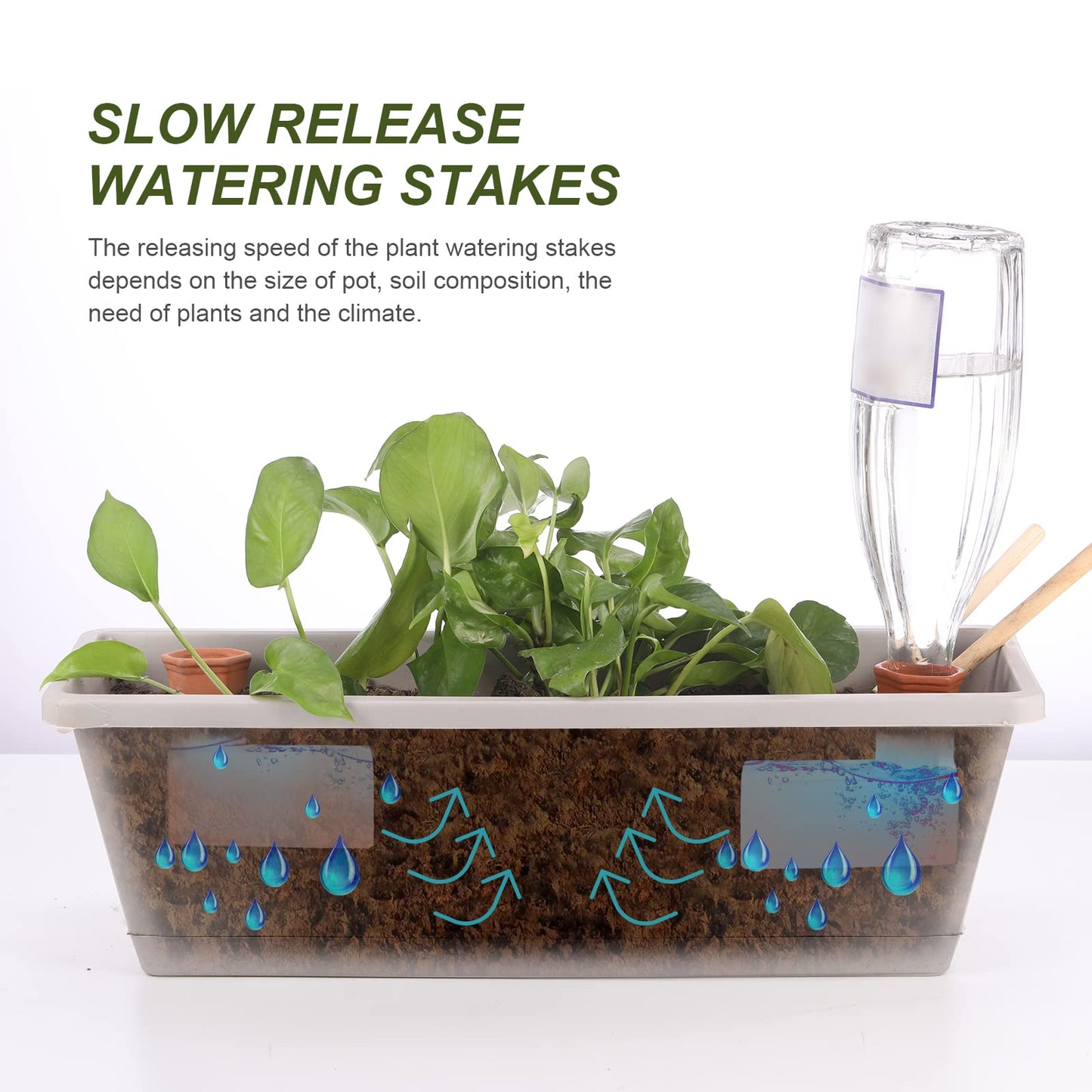 Plant Watering Devices Automatic Plant Waterer System Self Watering Terracotta Spikes Automatically Water Indoor and Outdoor Plants On Vacation Reusable Self-irrigate Water Storage Tank Globes
