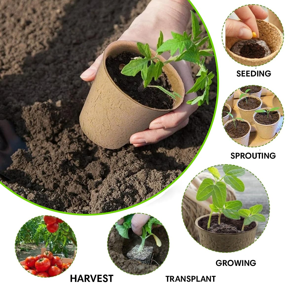 Garden Haven Seedling Starter Kit Germination Grow Cups and Soil (10 Pack) Biodegradable Peat Pots, Coco Coir Soil Discs, Plant Markers - Organic Grow Kit for Seed Germination, Indoor/Outdoor (2)