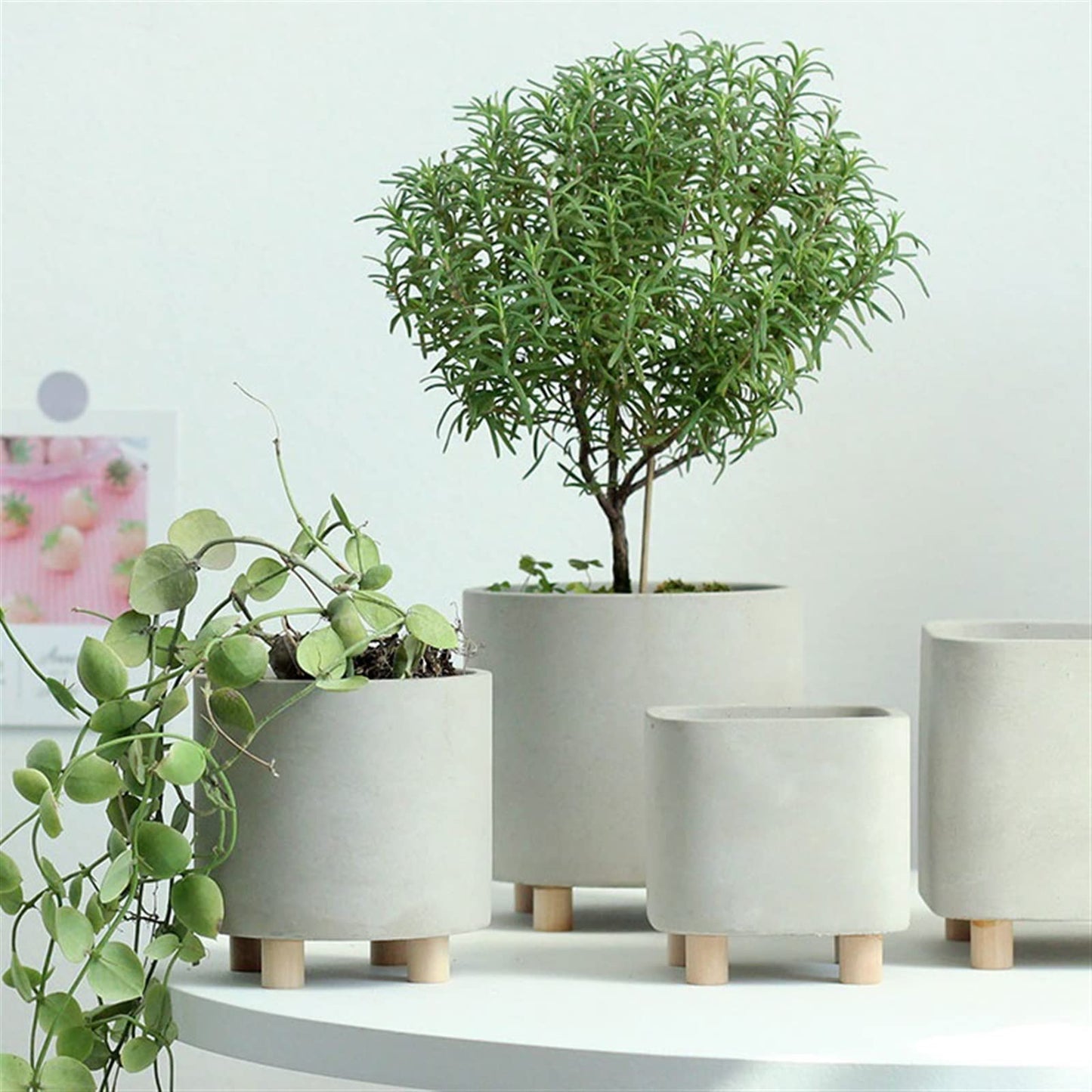 ENGENDER Flower Pot Simple Cement Flower Pot High-Footed Succulent Flower Pot Creative Desktop Green Plant Pot Small Potted Plant Planter (Color : Square)