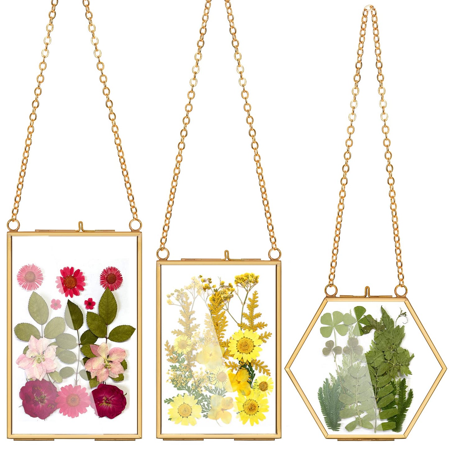 AVLA 3 Pack Pressed Flowers Glass Frames, Brass Hanging Picture Frames with Chain, Small Golden Floating Photo Frame, Clear DIY Artwork Display Frame for Wall Decor, Dried Plant Specimen