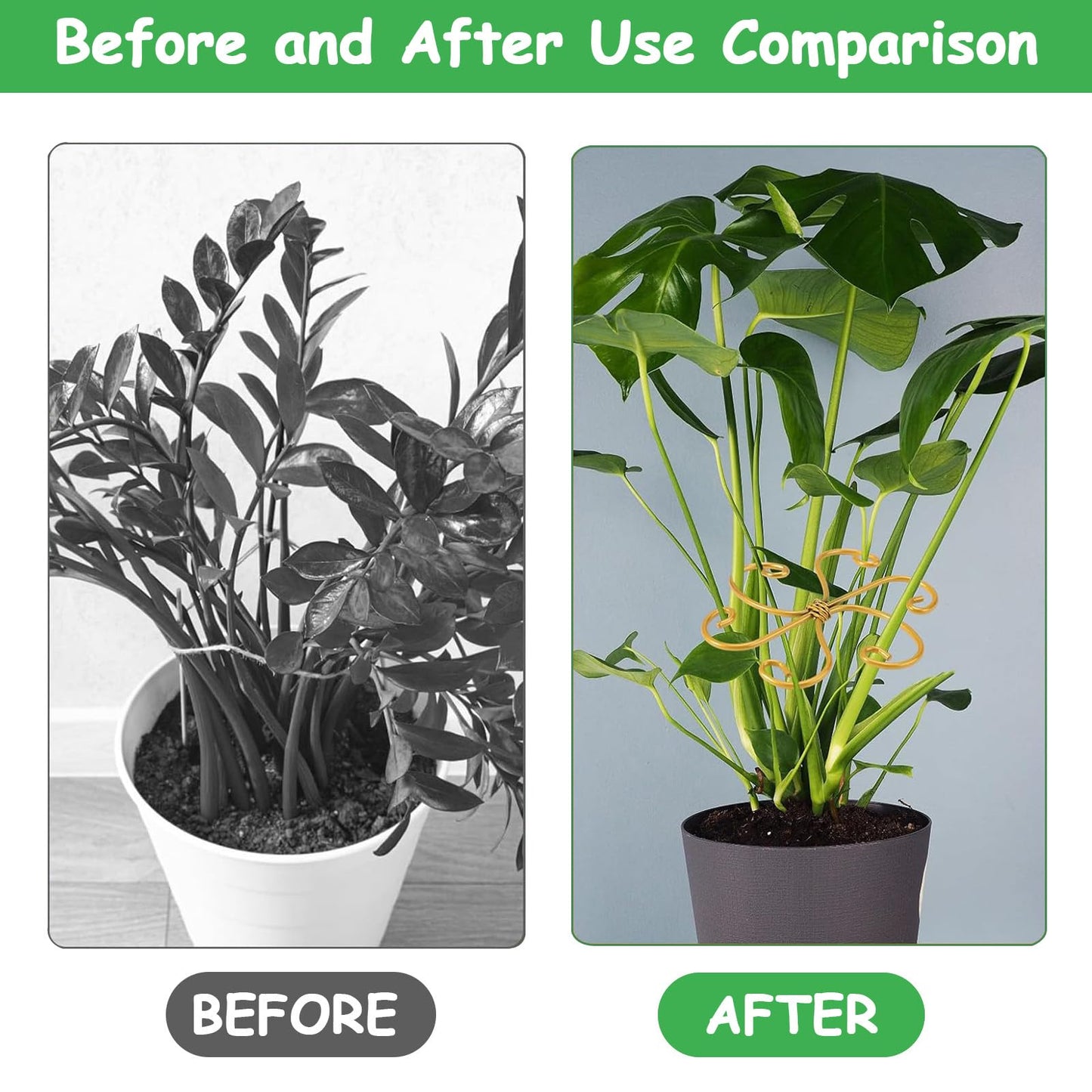 5 Pcs Plant Stem Support, Iron Monstera Plant Support, Durable Hook Stem Supports for Healthy Growth, Bamboo Clamp Set for Leaf Stabilization and Support, Ideal Present for Plant Lovers