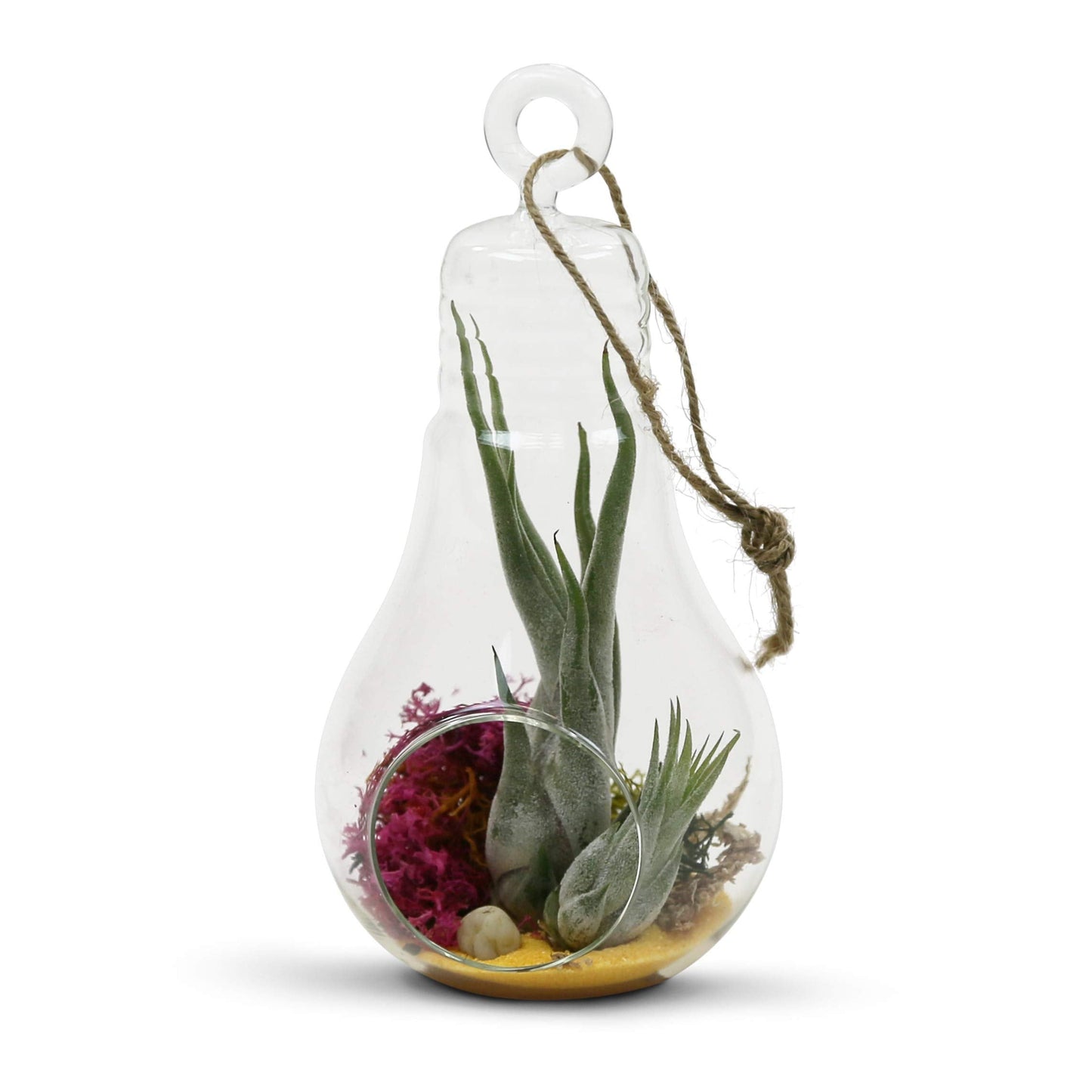 WGV Hanging Glass Plant Terrarium, Width 4.25", Height 8.25", Bulb DIY Air Succulent Planter Clear Tea Light Votive Candle Holder, Wedding Event Office Home Outdoor Decor, 1 Piece